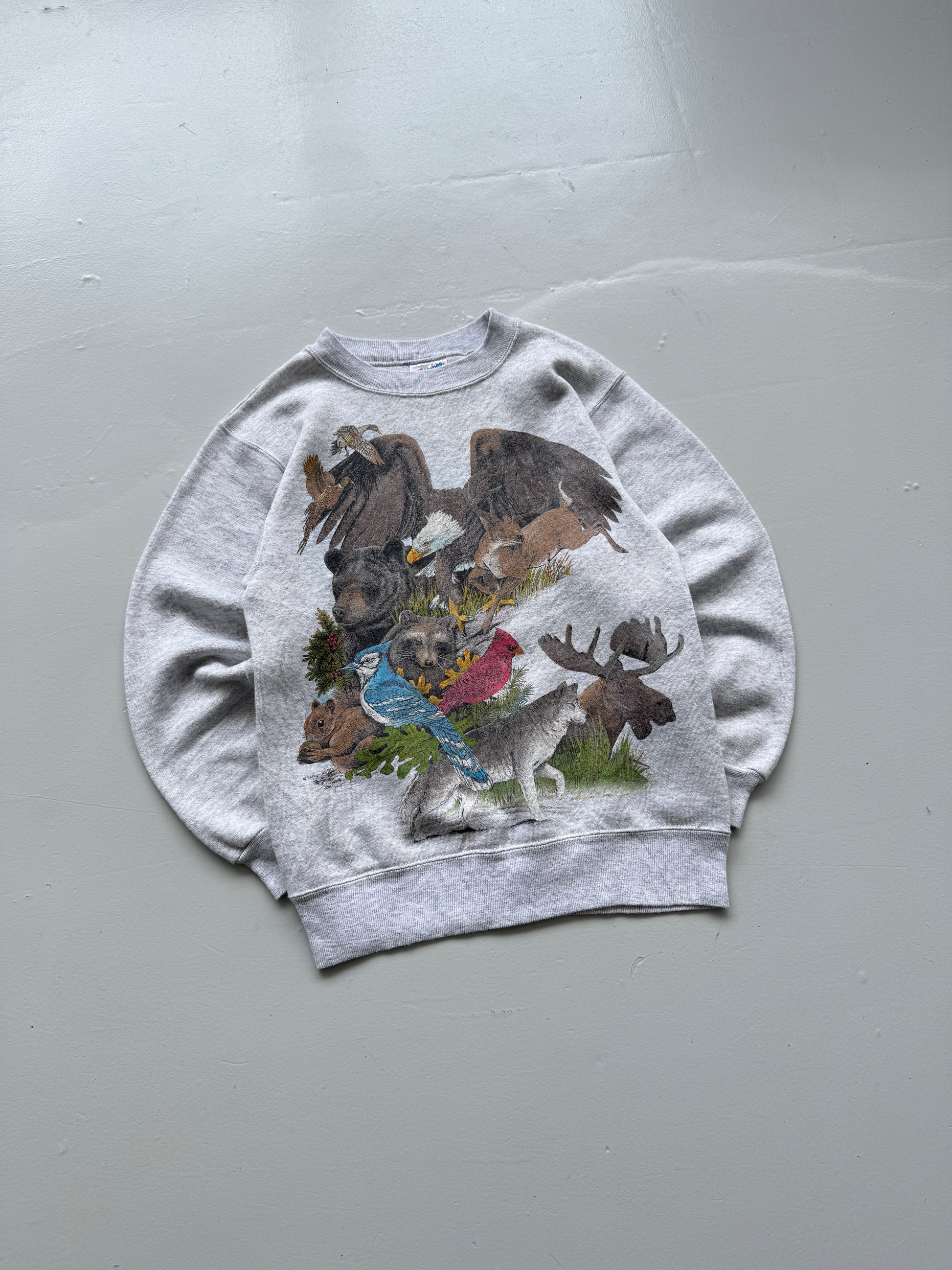 Hanes Activewear Wildlife Graphic 90's Vintage Sweatshirt - Women's 6
