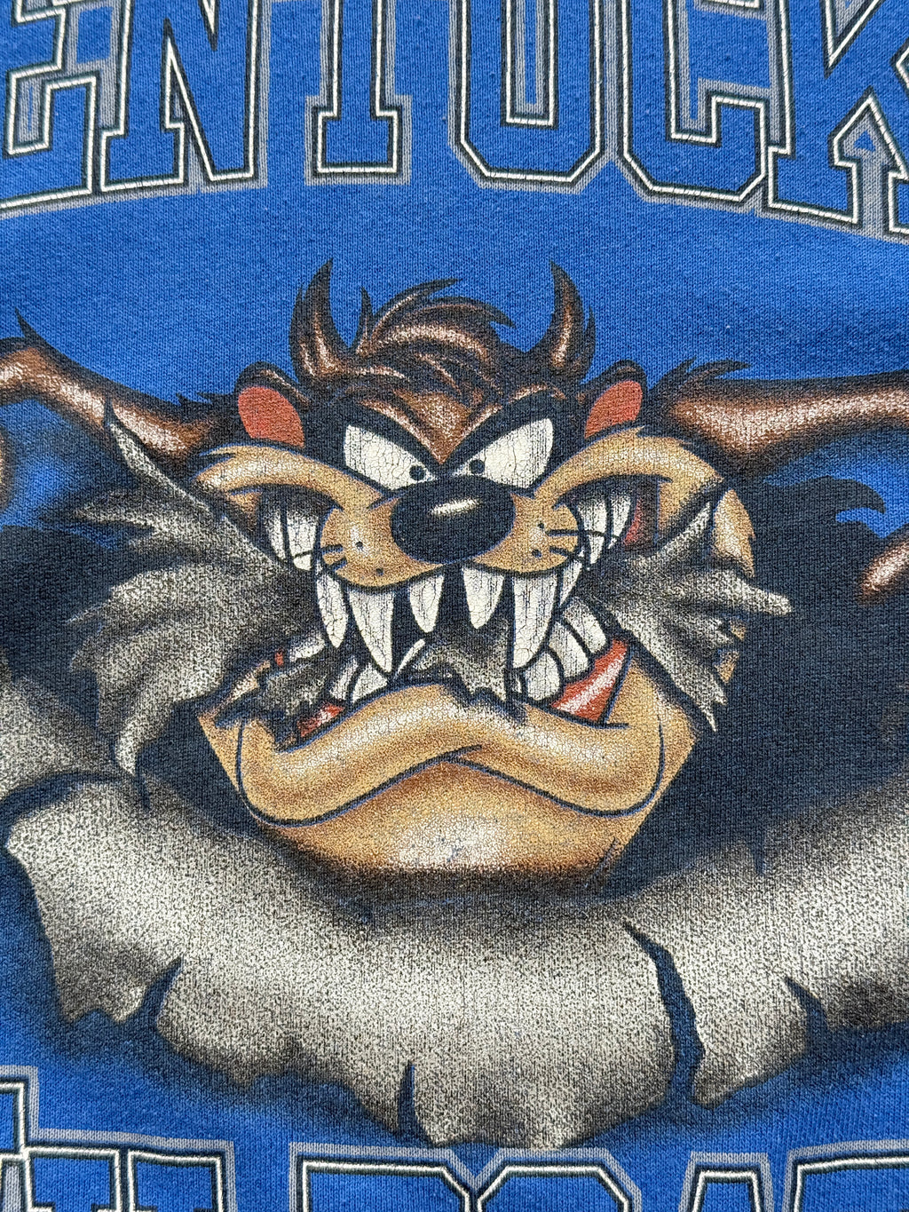 Looney Tunes Kentucky Wildcats Taz 90's Vintage Sweatshirt - XL