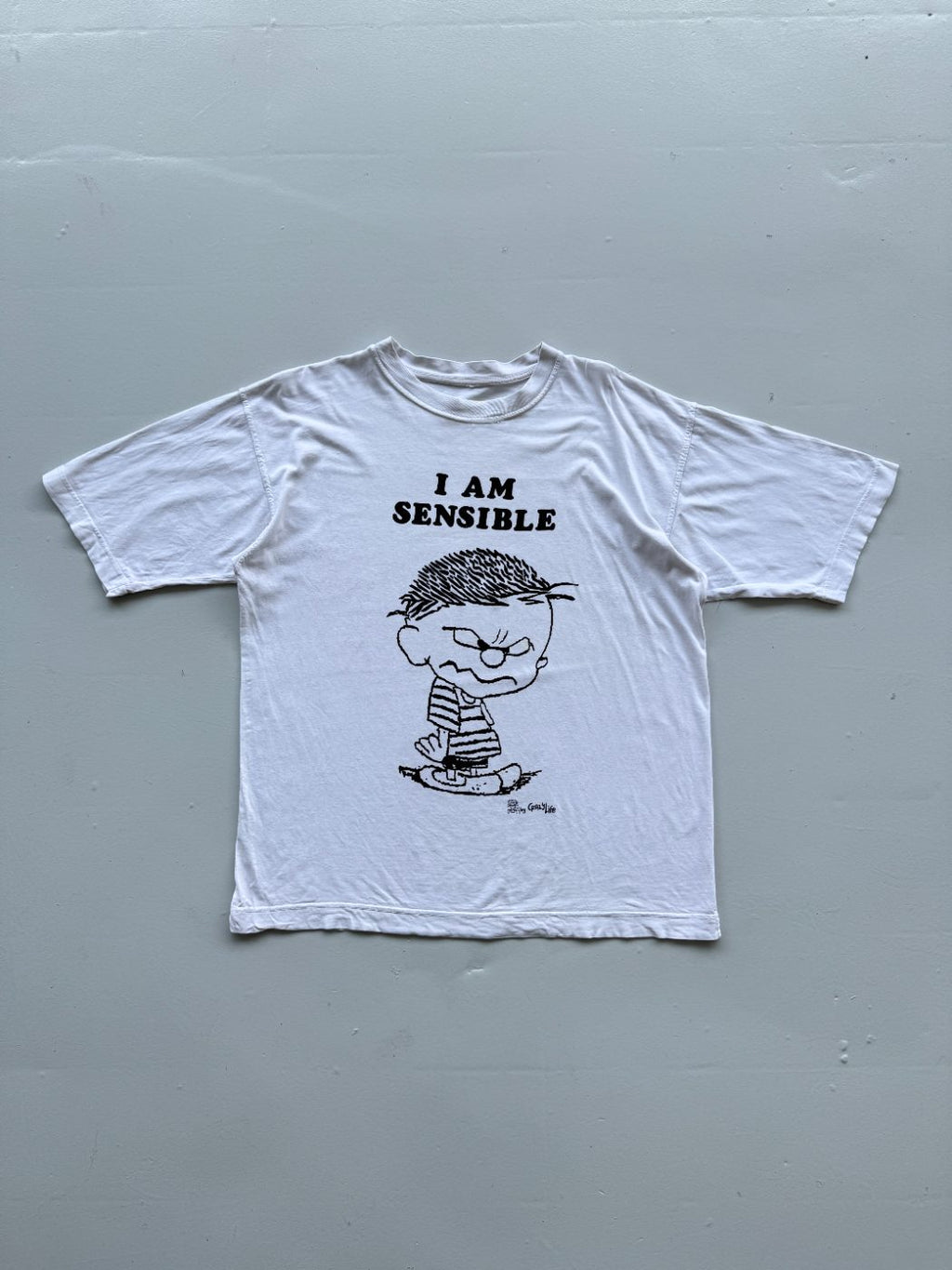 Crazy Life 'I Am Sensible' 90's Vintage Slogan T-Shirt - Large