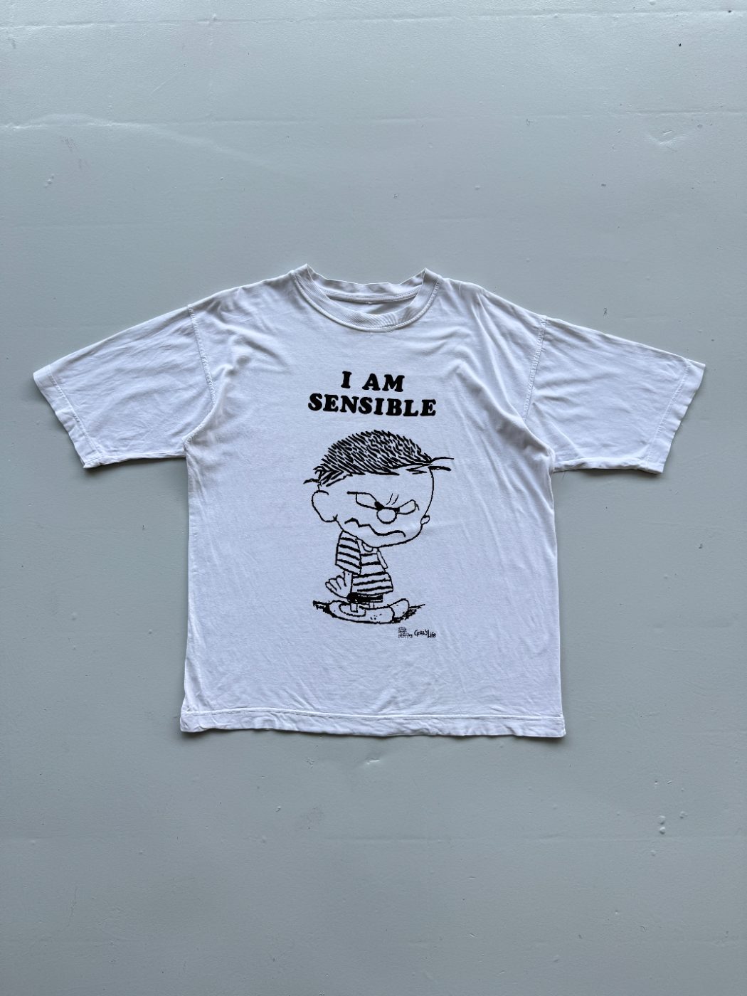 Crazy Life 'I Am Sensible' 90's Vintage Slogan T-Shirt - Large