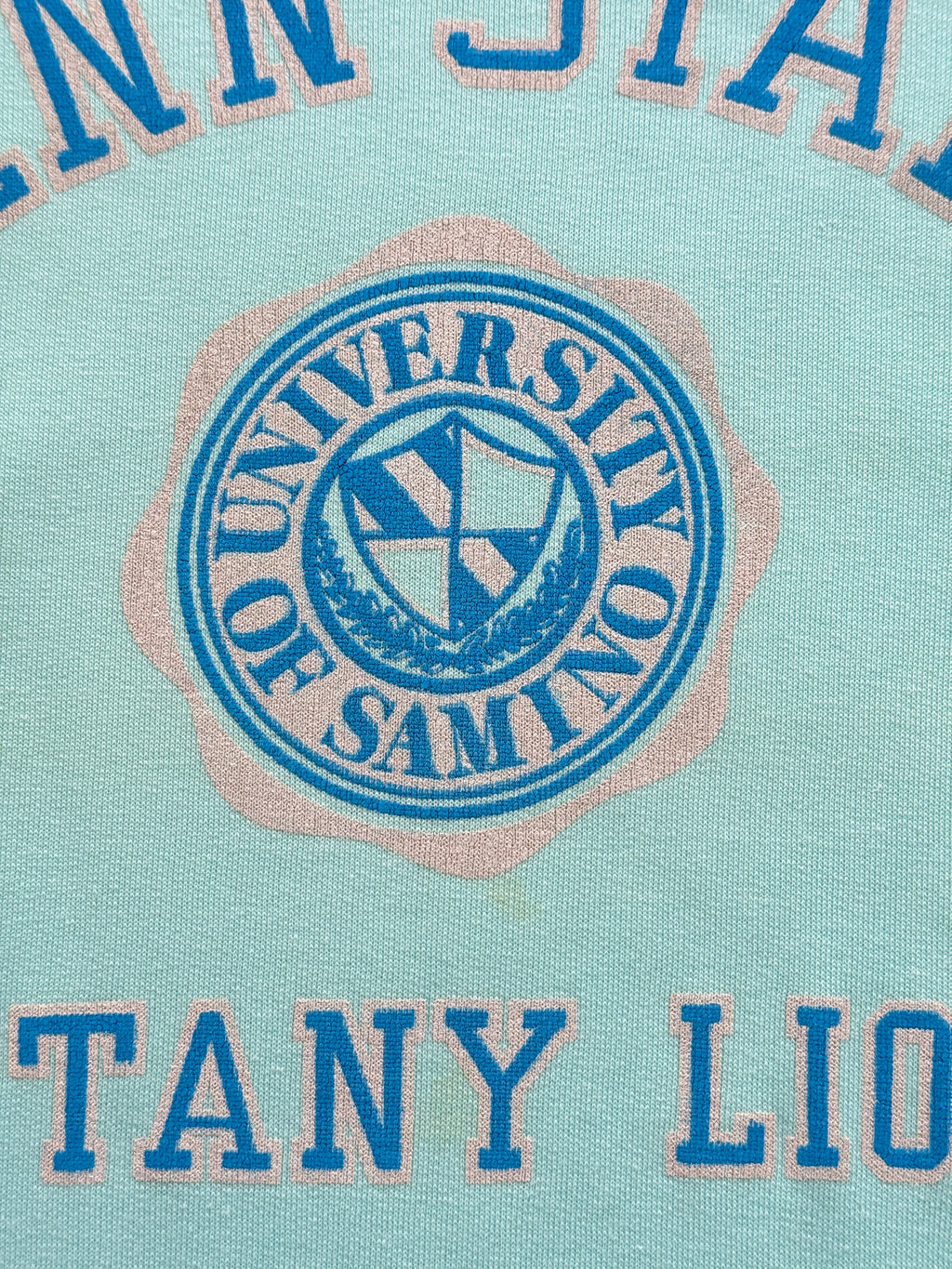 Penn State Nittany Lions 60s/70s Vintage University Sweatshirt - Medium