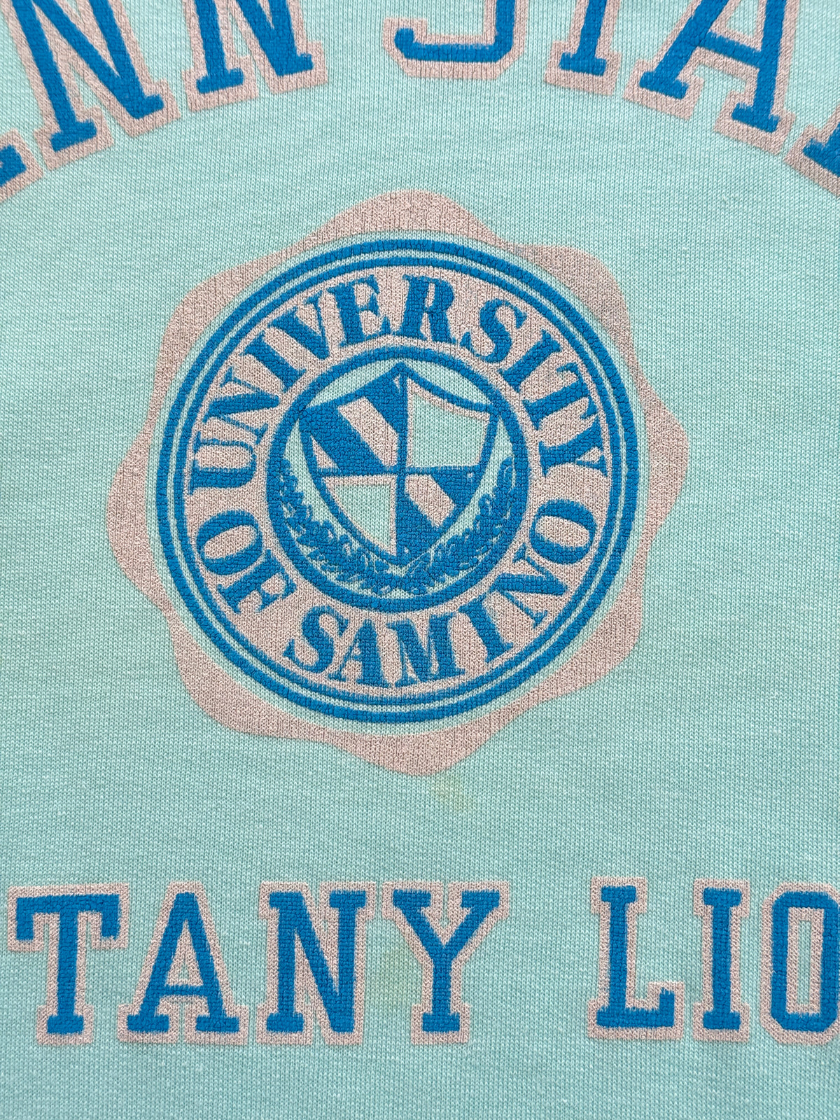 Penn State Nittany Lions 60s/70s Vintage University Sweatshirt - Medium