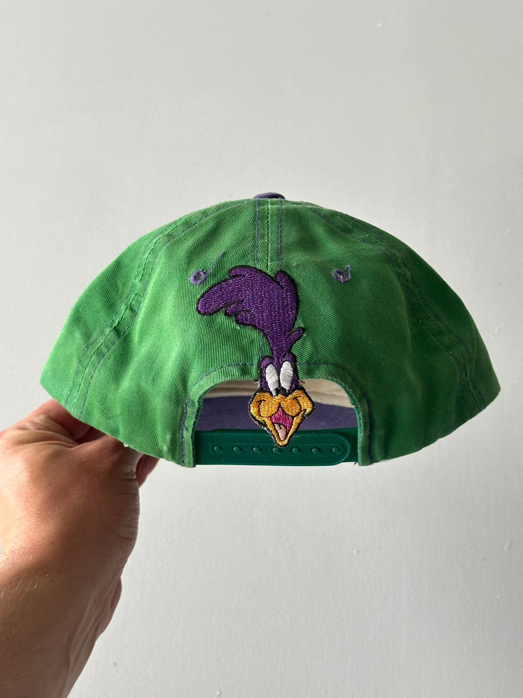 Green / Purple Road Runner Looney Tunes 90's Vintage SnapBack Trucker Cap