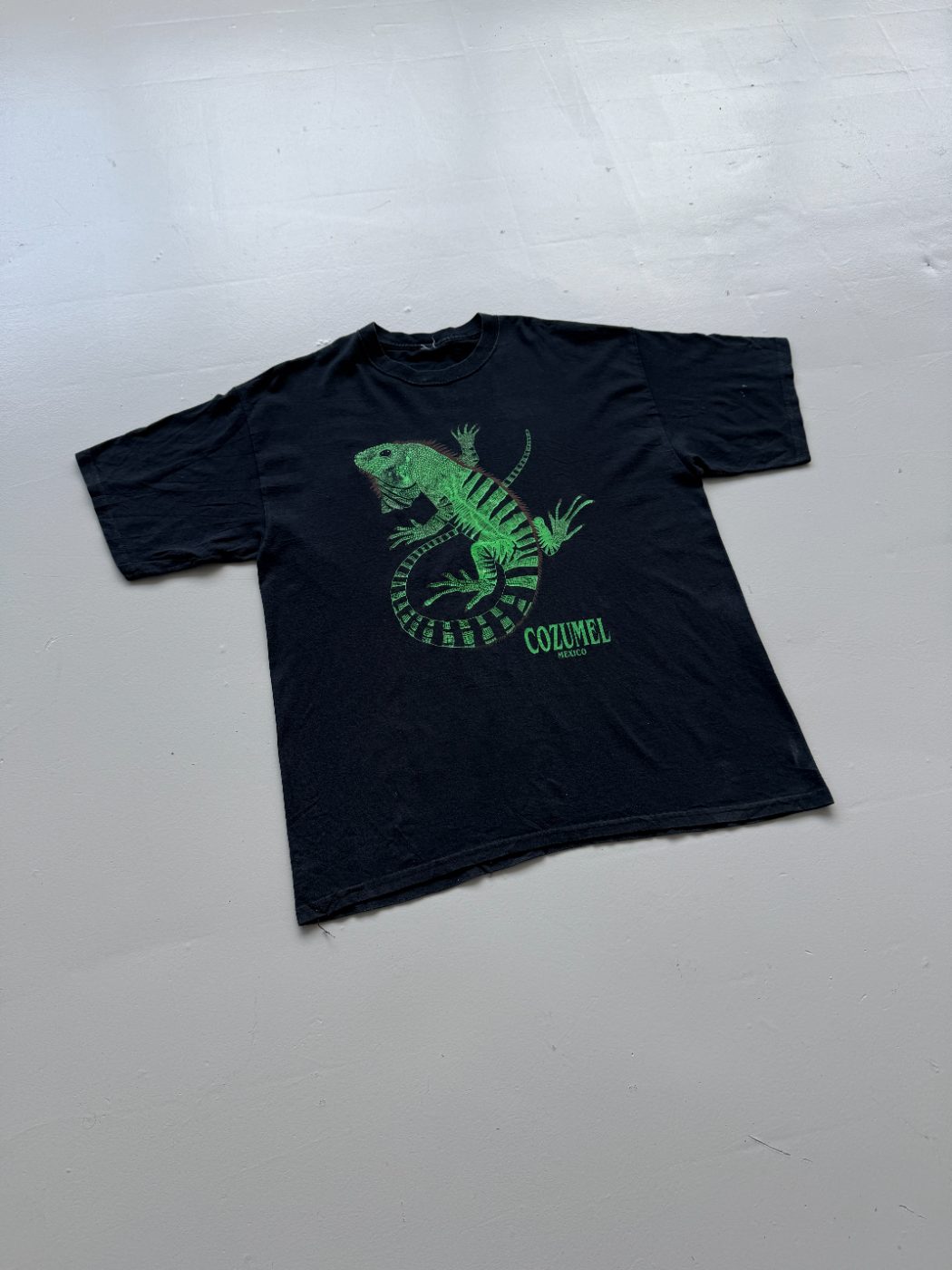 American Vintage Cozumel Mexico Iguana Vintage Tourist T-Shirt - Extra Large