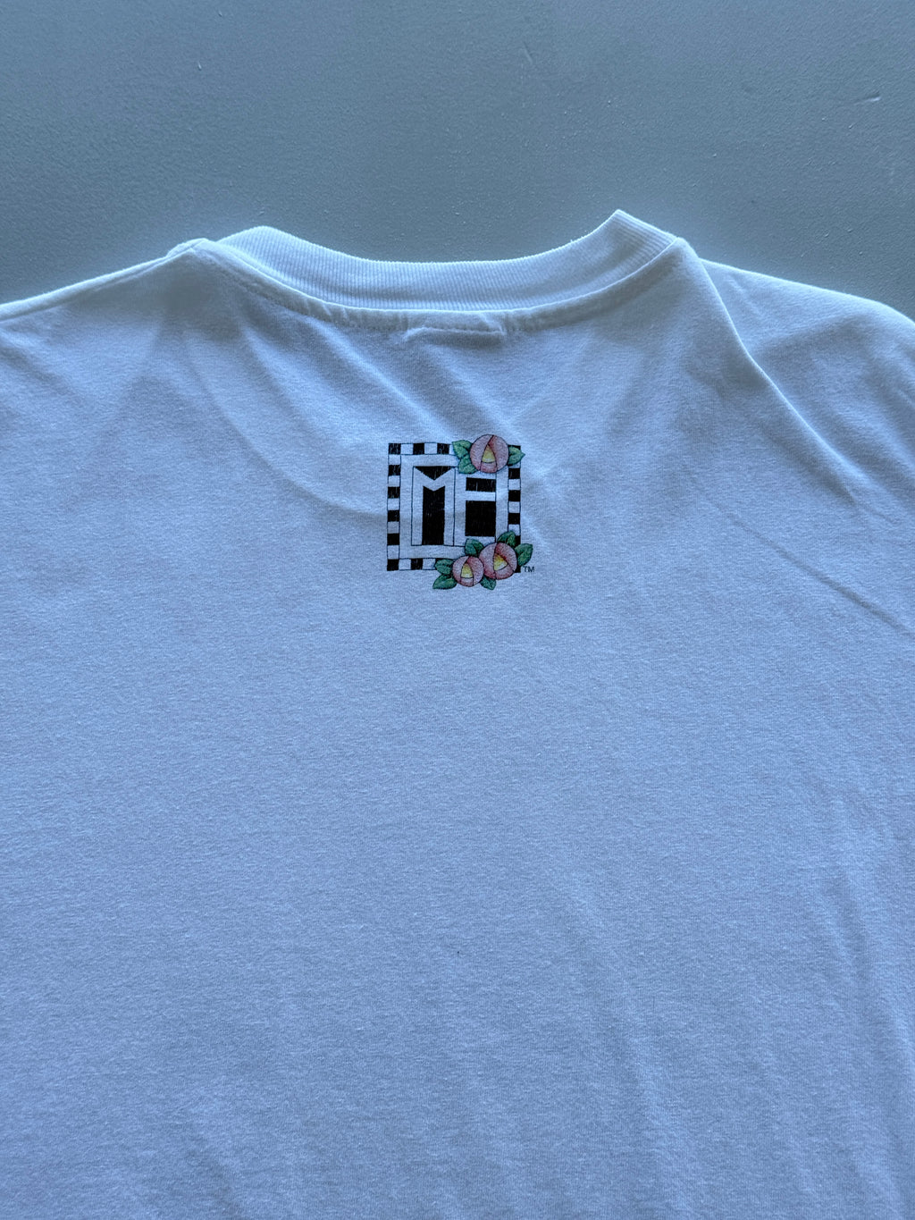 Hanes Heavyweight 'Let's Put The Fun Back In Dysfunctional' 90s Single Stitch Vi