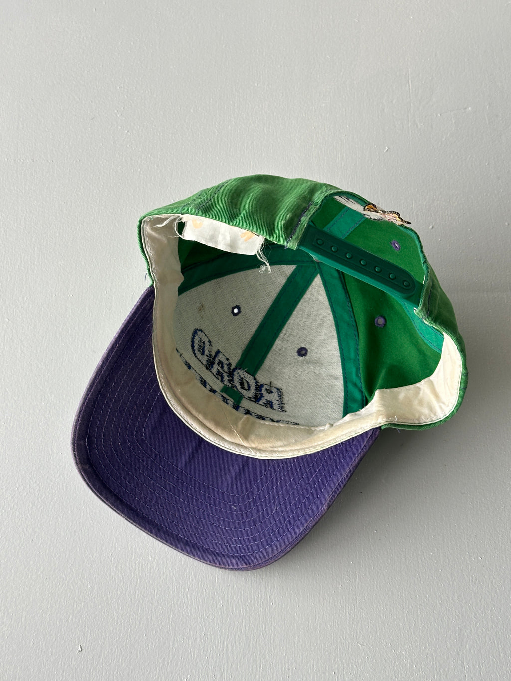 Green / Purple Road Runner Looney Tunes 90's Vintage SnapBack Trucker Cap