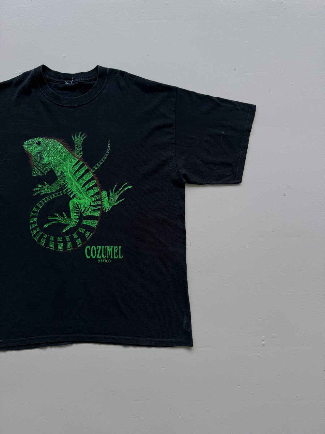 American Vintage Cozumel Mexico Iguana Vintage Tourist T-Shirt - Extra Large