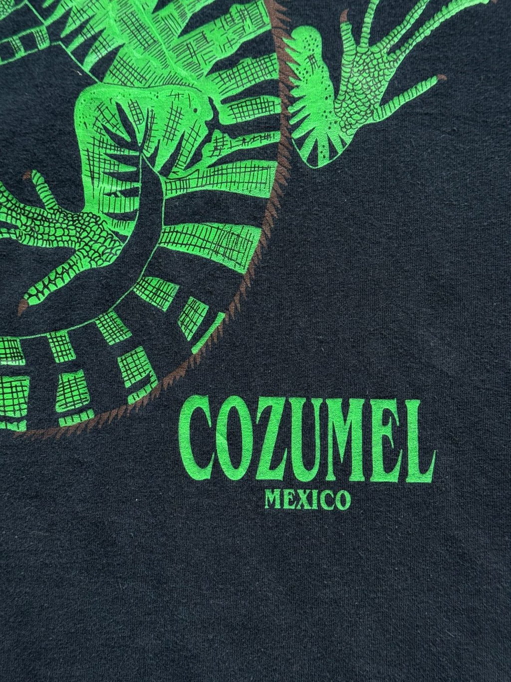 American Vintage Cozumel Mexico Iguana Vintage Tourist T-Shirt - Extra Large
