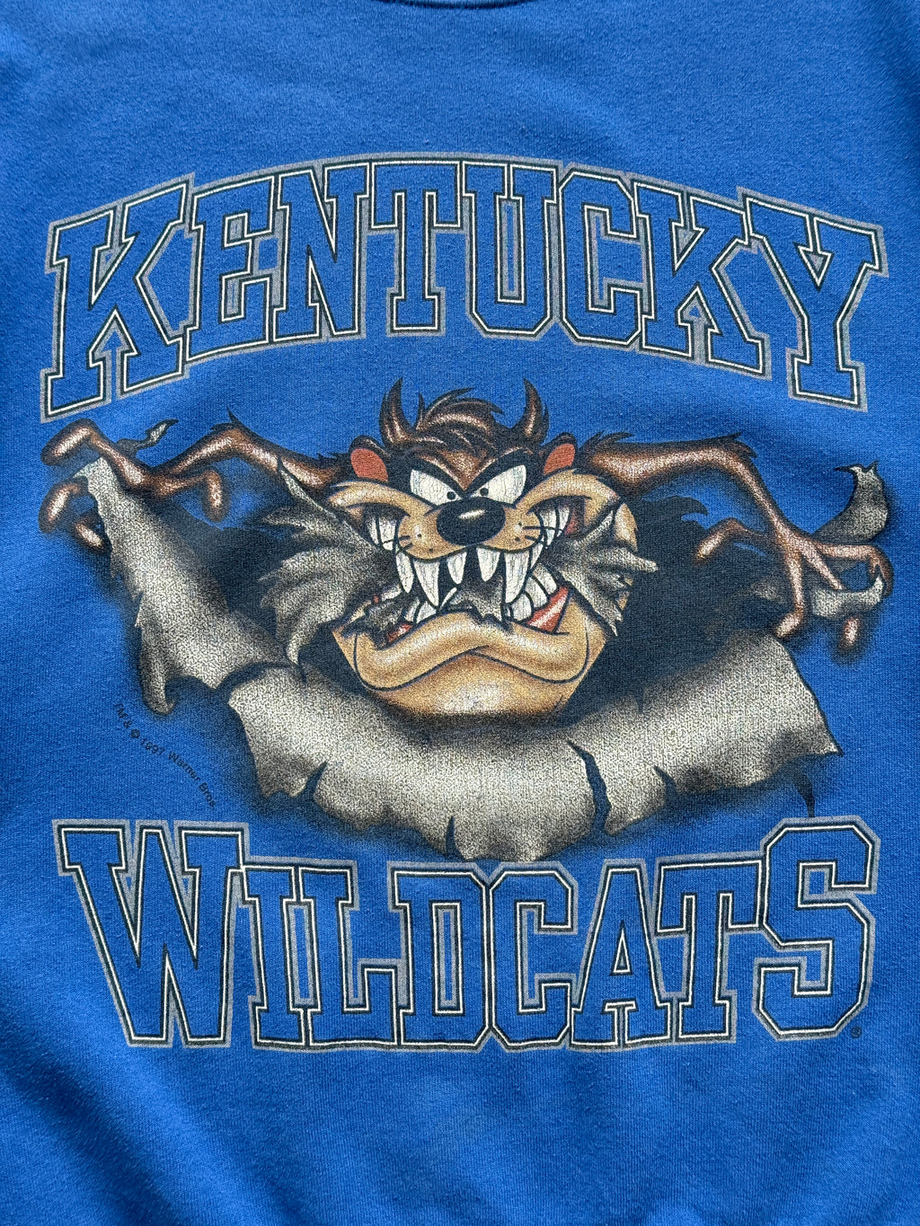 Looney Tunes Kentucky Wildcats Taz 90's Vintage Sweatshirt - XL