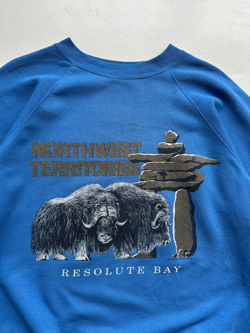 Blue Northwest Territories 90's Vintage Graphic Sweatshirt Jumper - Medium