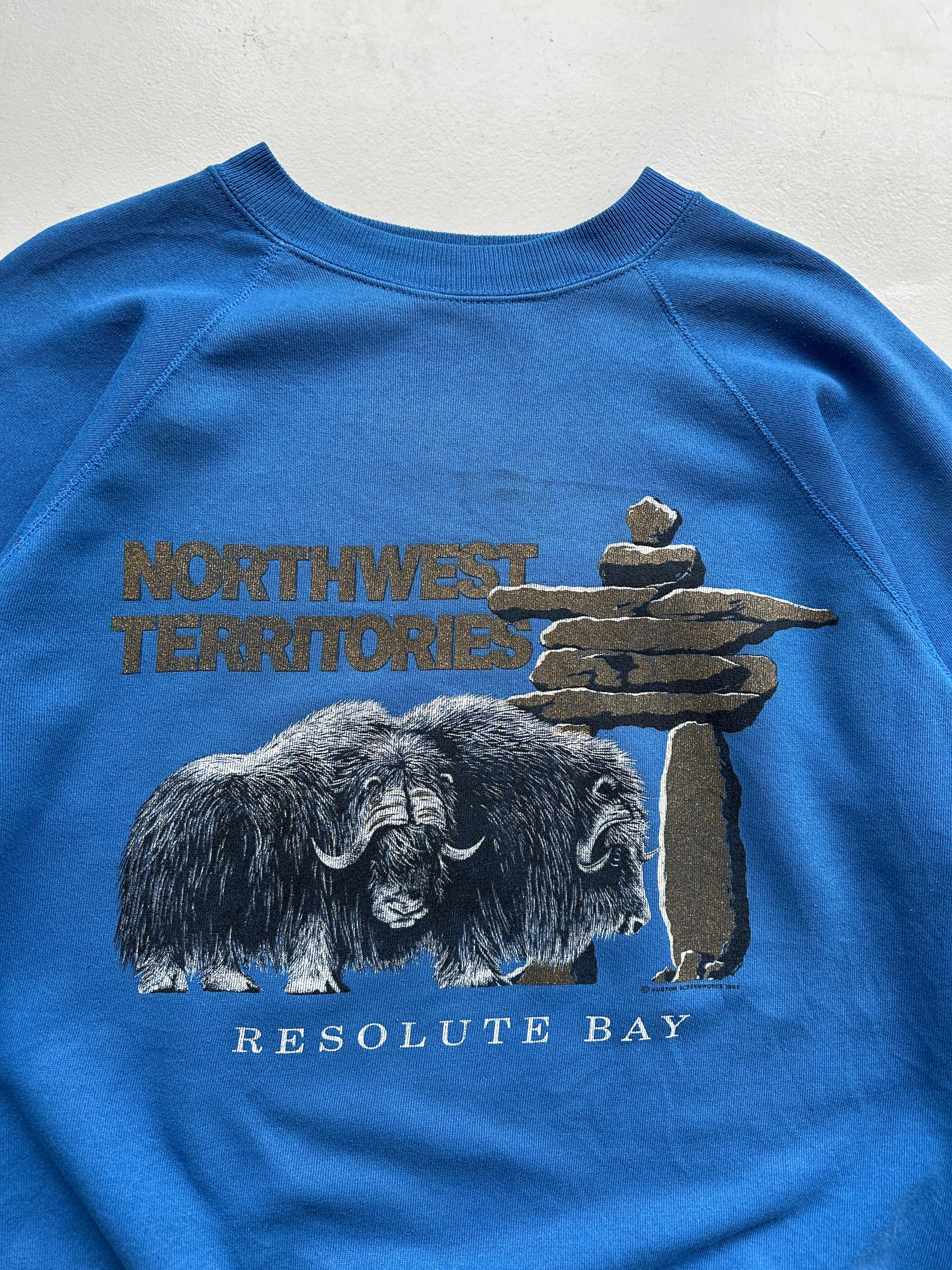Blue Northwest Territories 90's Vintage Graphic Sweatshirt Jumper - Medium