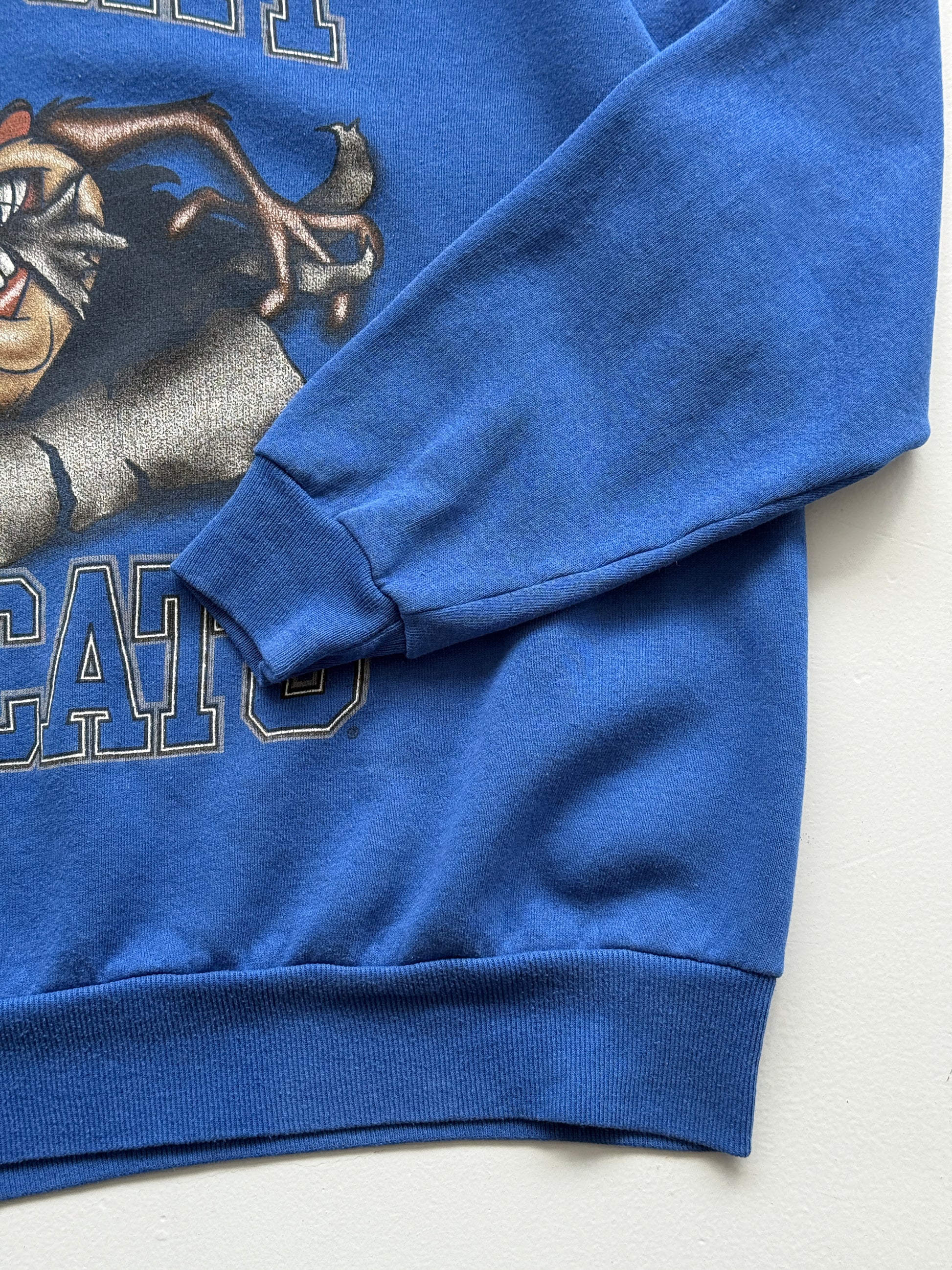 Looney Tunes Kentucky Wildcats Taz 90's Vintage Sweatshirt - XL