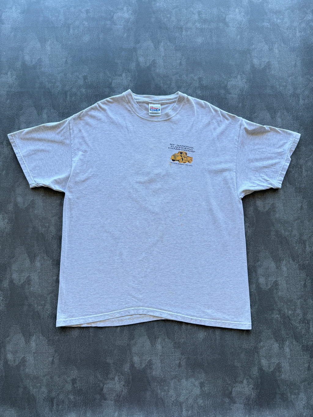 Grey Hanes 30th National Flat picking Championship 2001 Vintage T-Shirt - XL