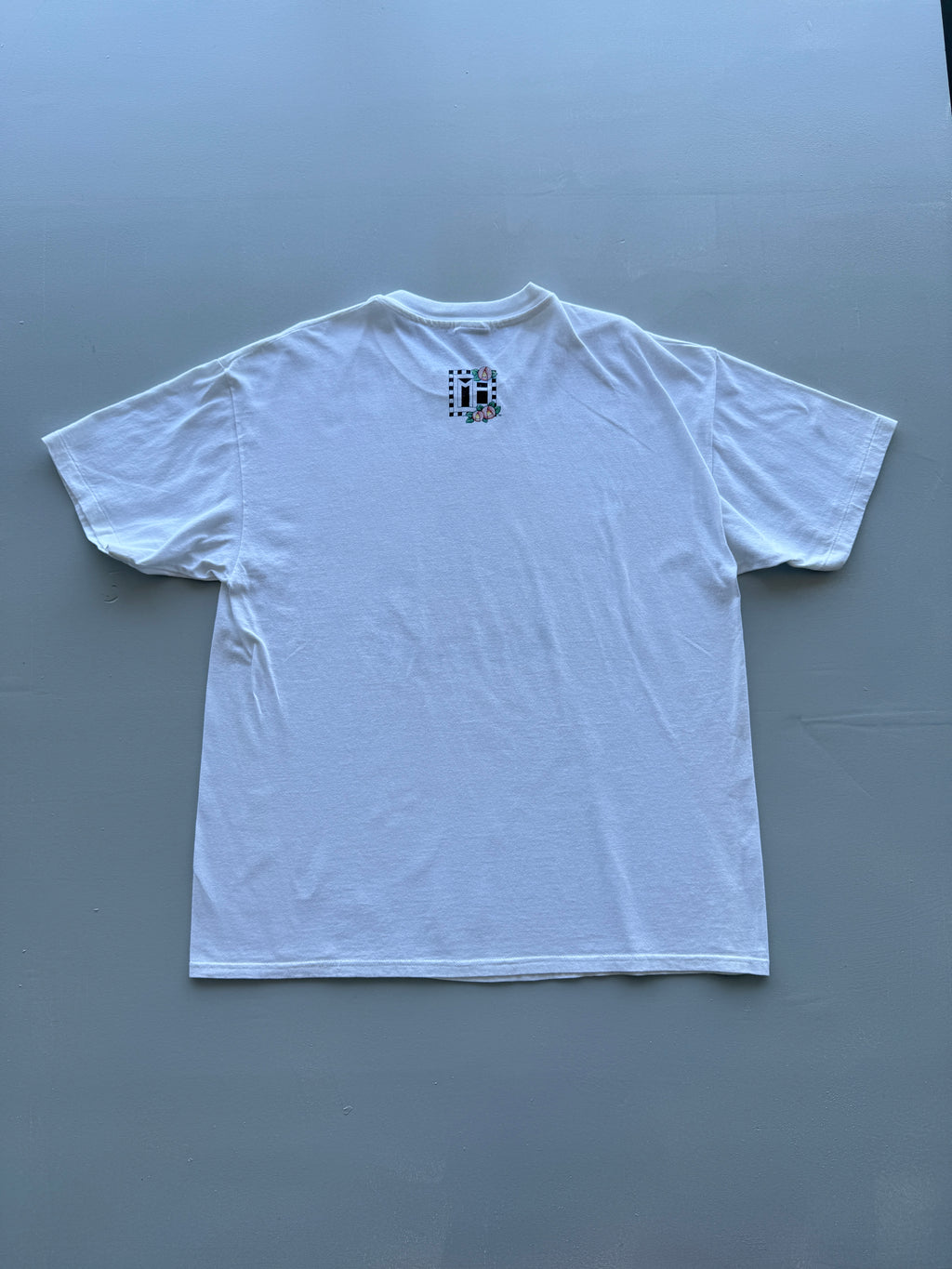 Hanes Heavyweight 'Let's Put The Fun Back In Dysfunctional' 90s Single Stitch Vi