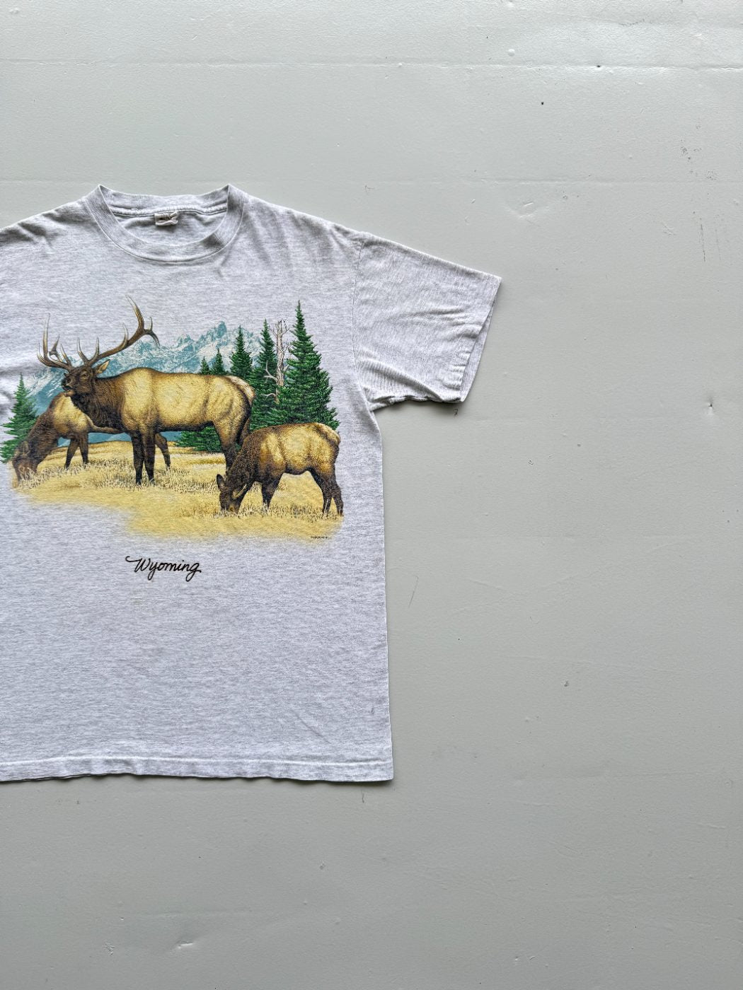 Habitat Wyoming Elk Single Stitch 90's Vintage T-Shirt - Medium