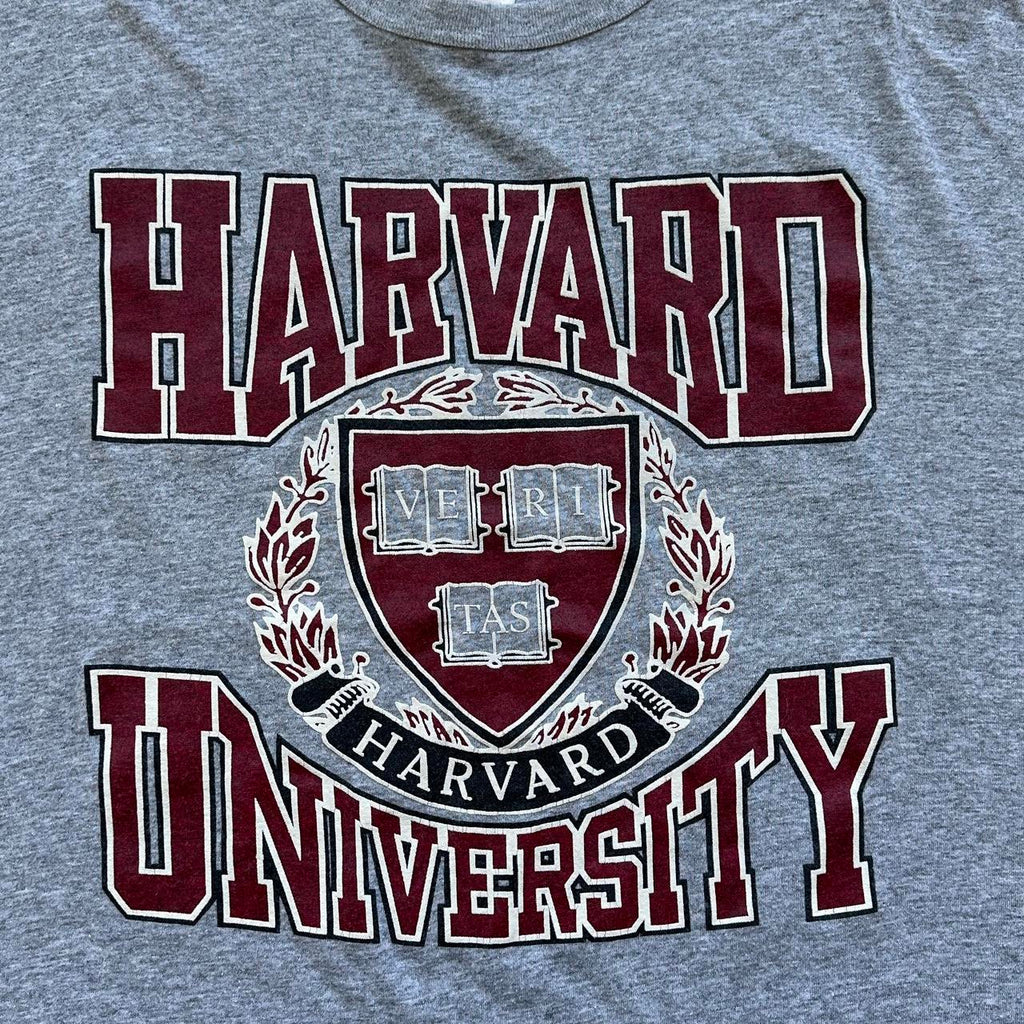 Harvard University Grey 90s Vintage T-shirt - 2XL