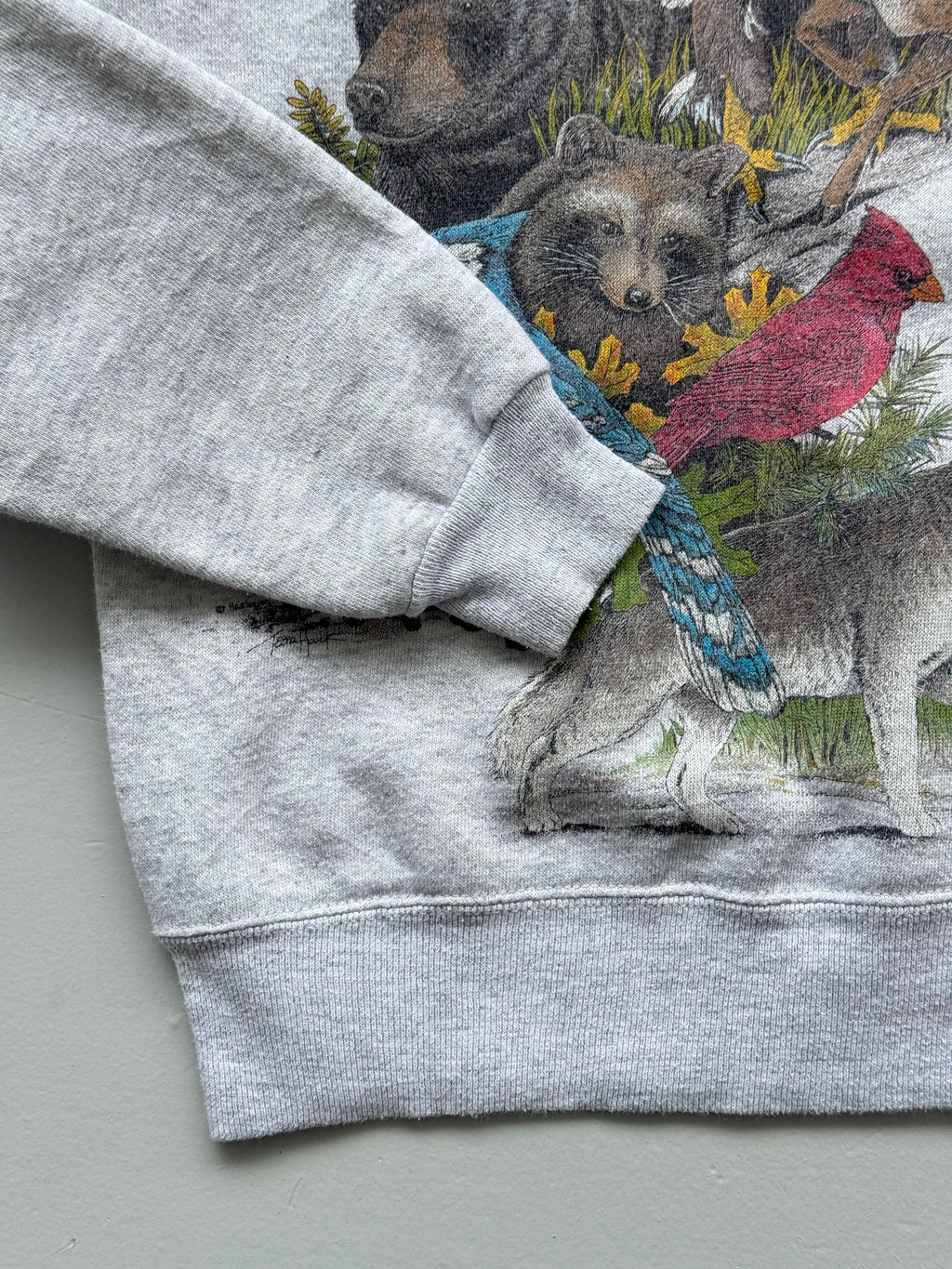 Hanes Activewear Wildlife Graphic 90's Vintage Sweatshirt - Women's 6