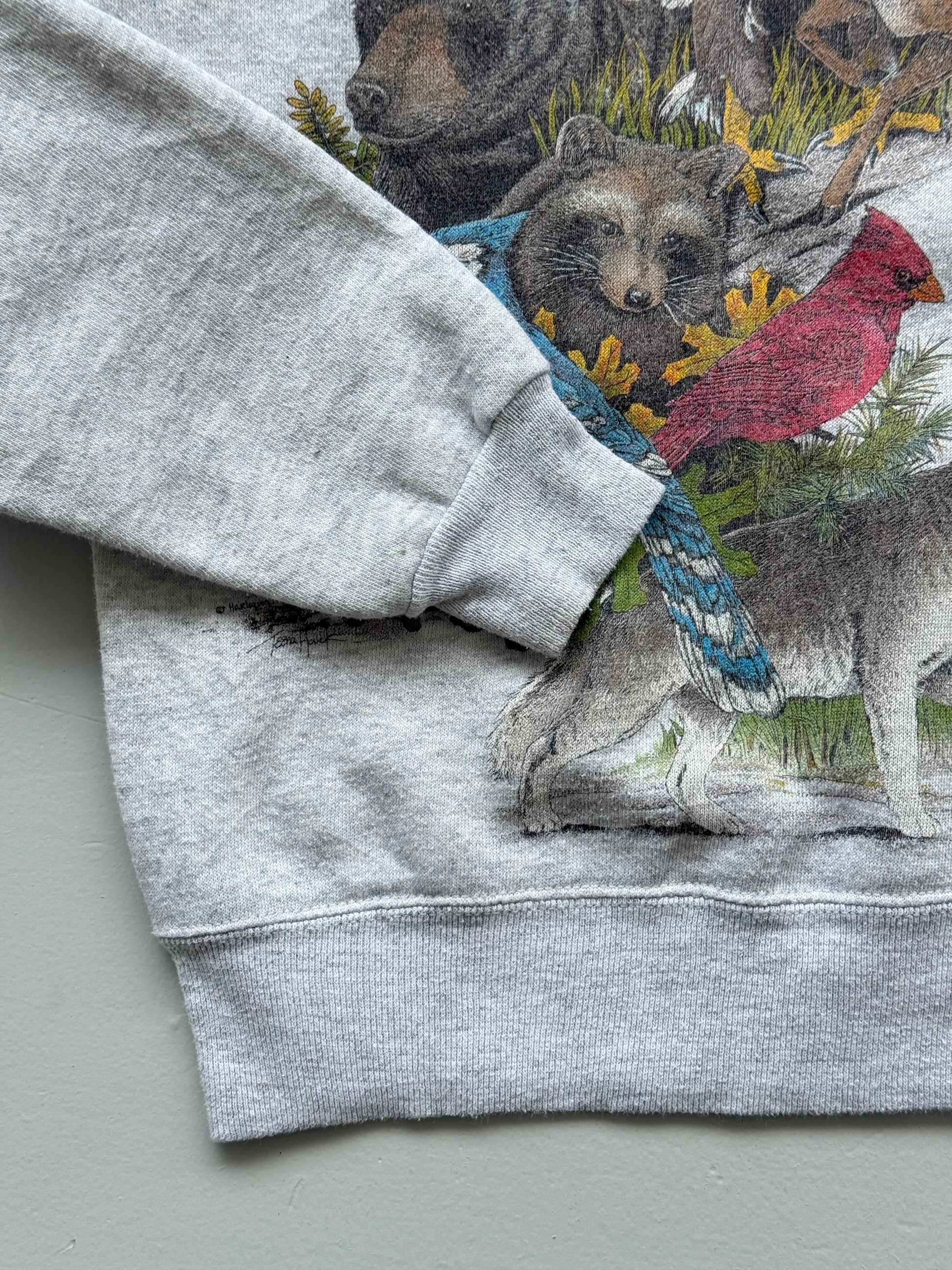 Hanes Activewear Wildlife Graphic 90's Vintage Sweatshirt - Women's 6
