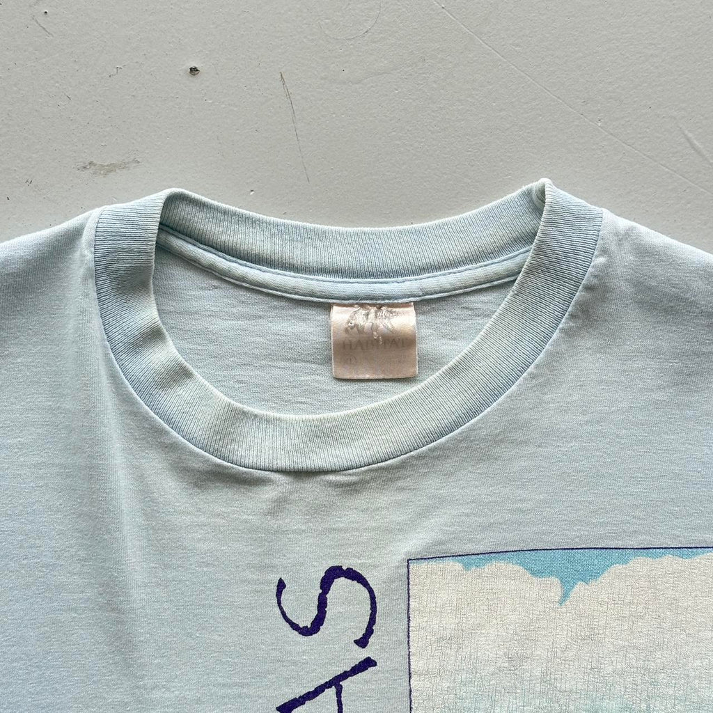 Pale Blue Arkansas Tourist Vintage 90's T-shirt - Large