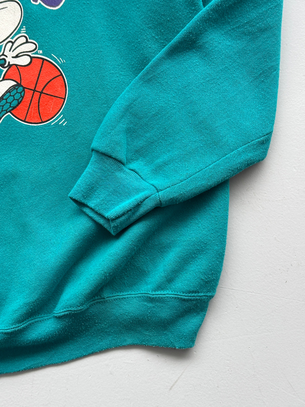 Artex Charlotte Hornets NBA 90's Vintage Sweatshirt - Large