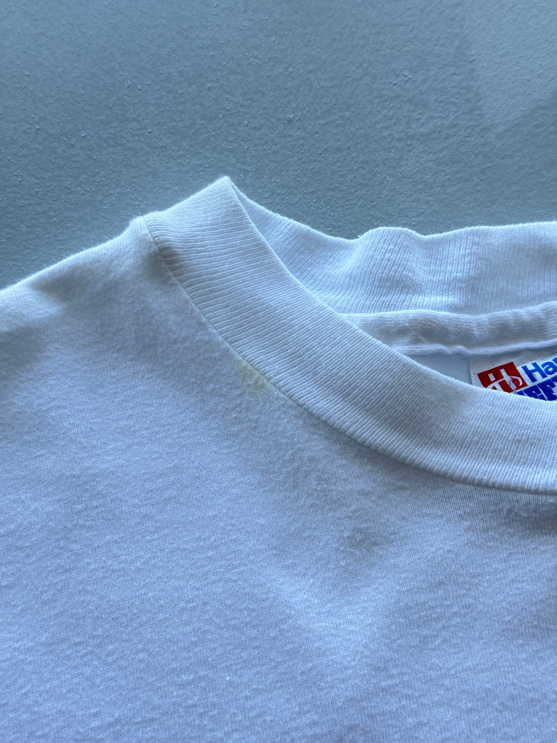 Hanes Beefy-T NICHD 30th Anniversary 90's Vintage Single Stitch T-Shirt - XL