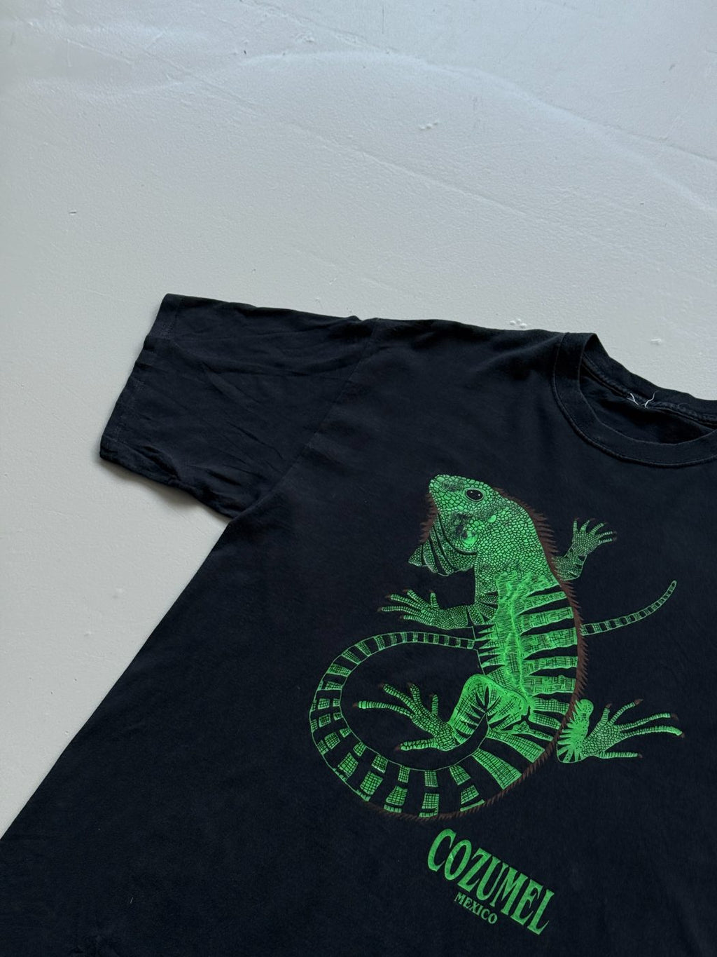 American Vintage Cozumel Mexico Iguana Vintage Tourist T-Shirt - Extra Large