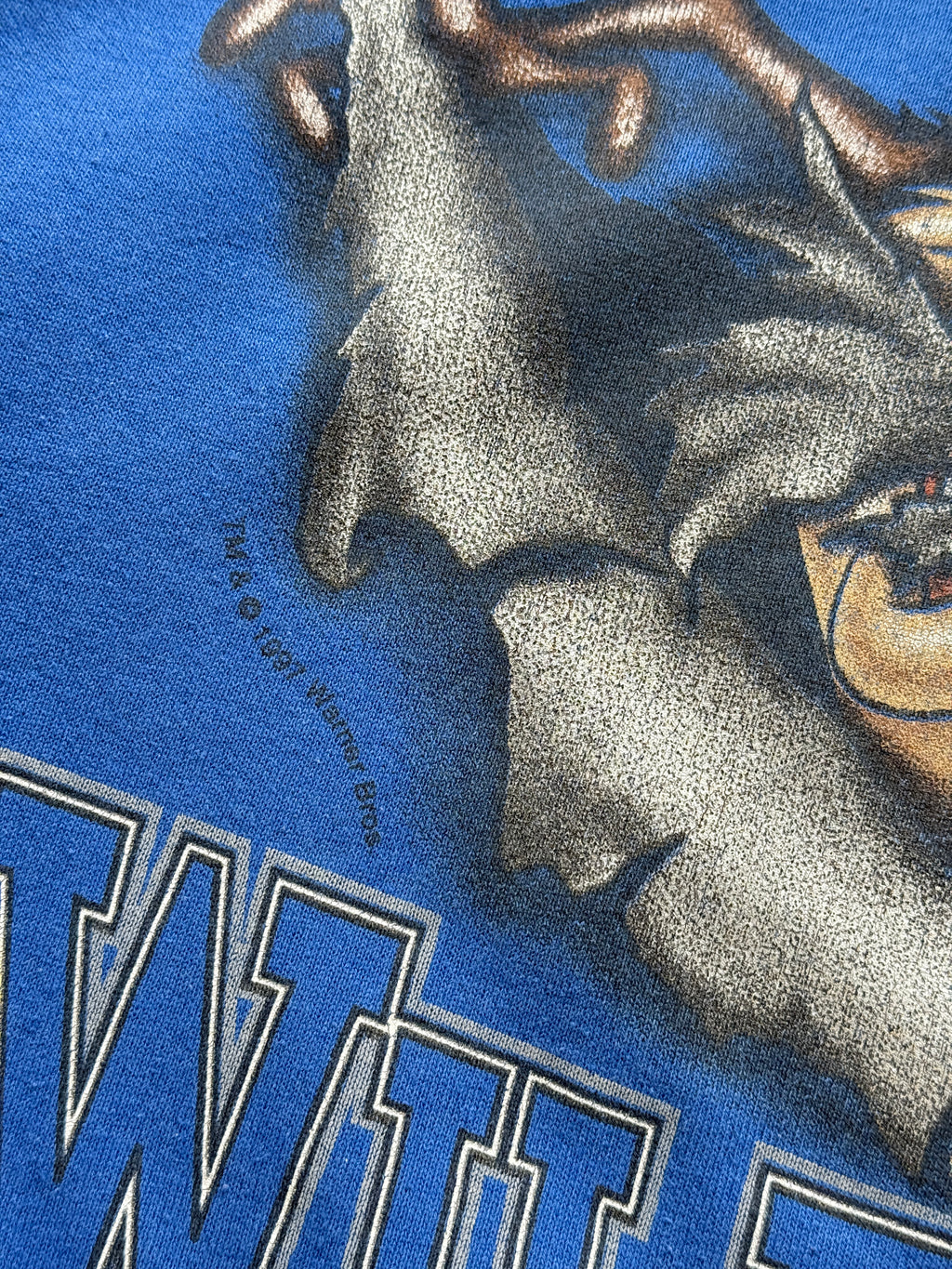 Looney Tunes Kentucky Wildcats Taz 90's Vintage Sweatshirt - XL