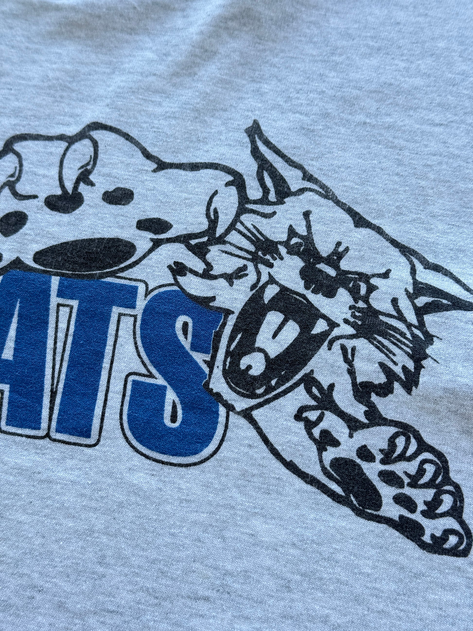 Bearcats Dawkins DSM Single Stitch 90's Vintage T-Shirt - XL