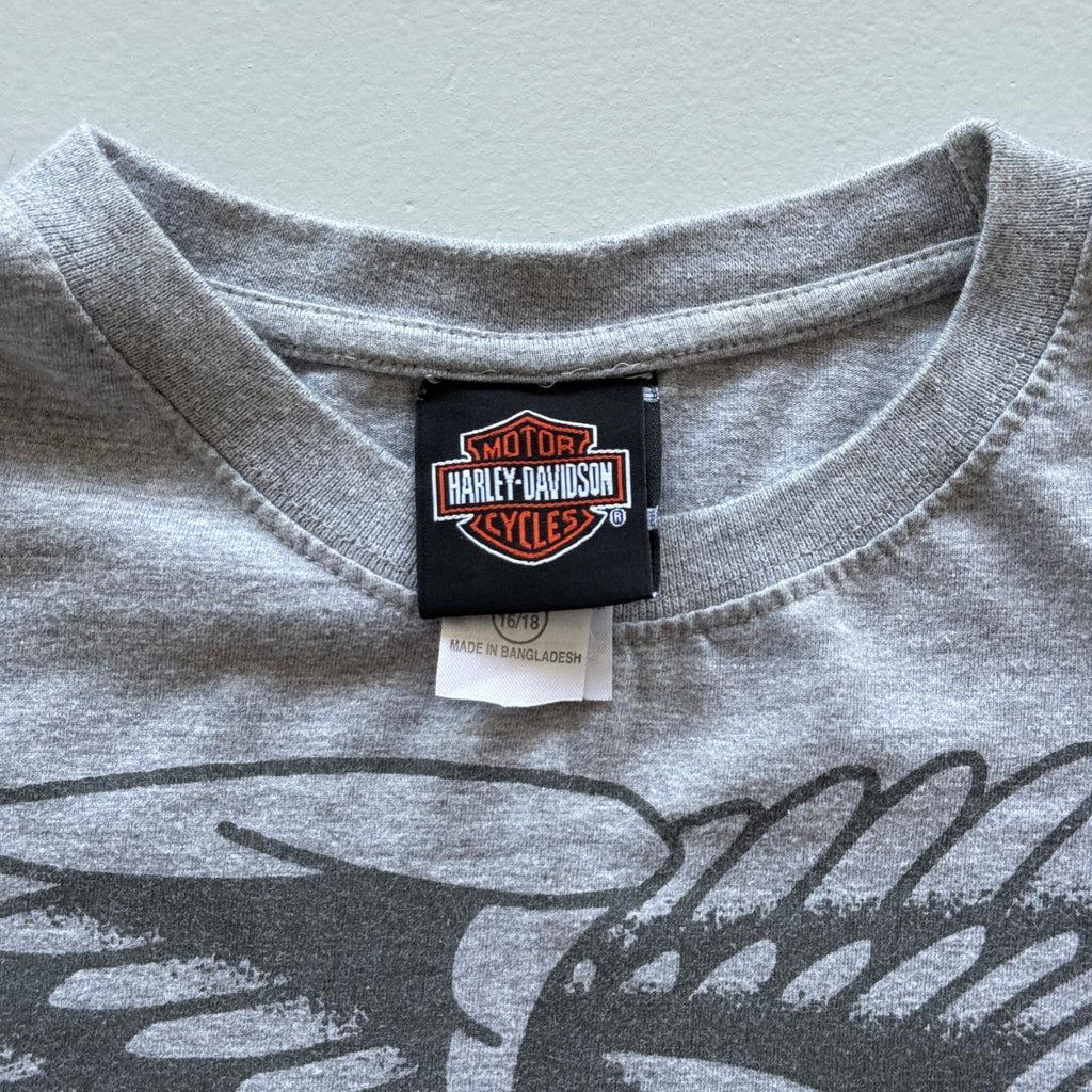 Grey Harley Davidson 00's Y2K Graphic T-Shirt - Medium