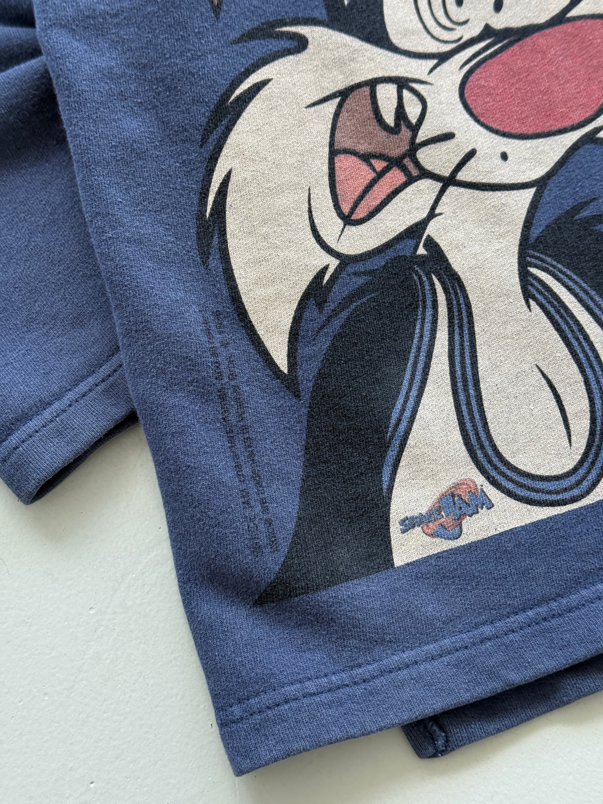 Warner Bros Space Jam Tune Squad 96 Vintage Sweatshirt - XL