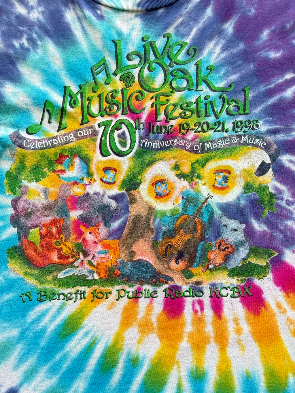 Purple Oak Music Festival 90's Vintage Hippie Single Stitch T-Shirt - Large