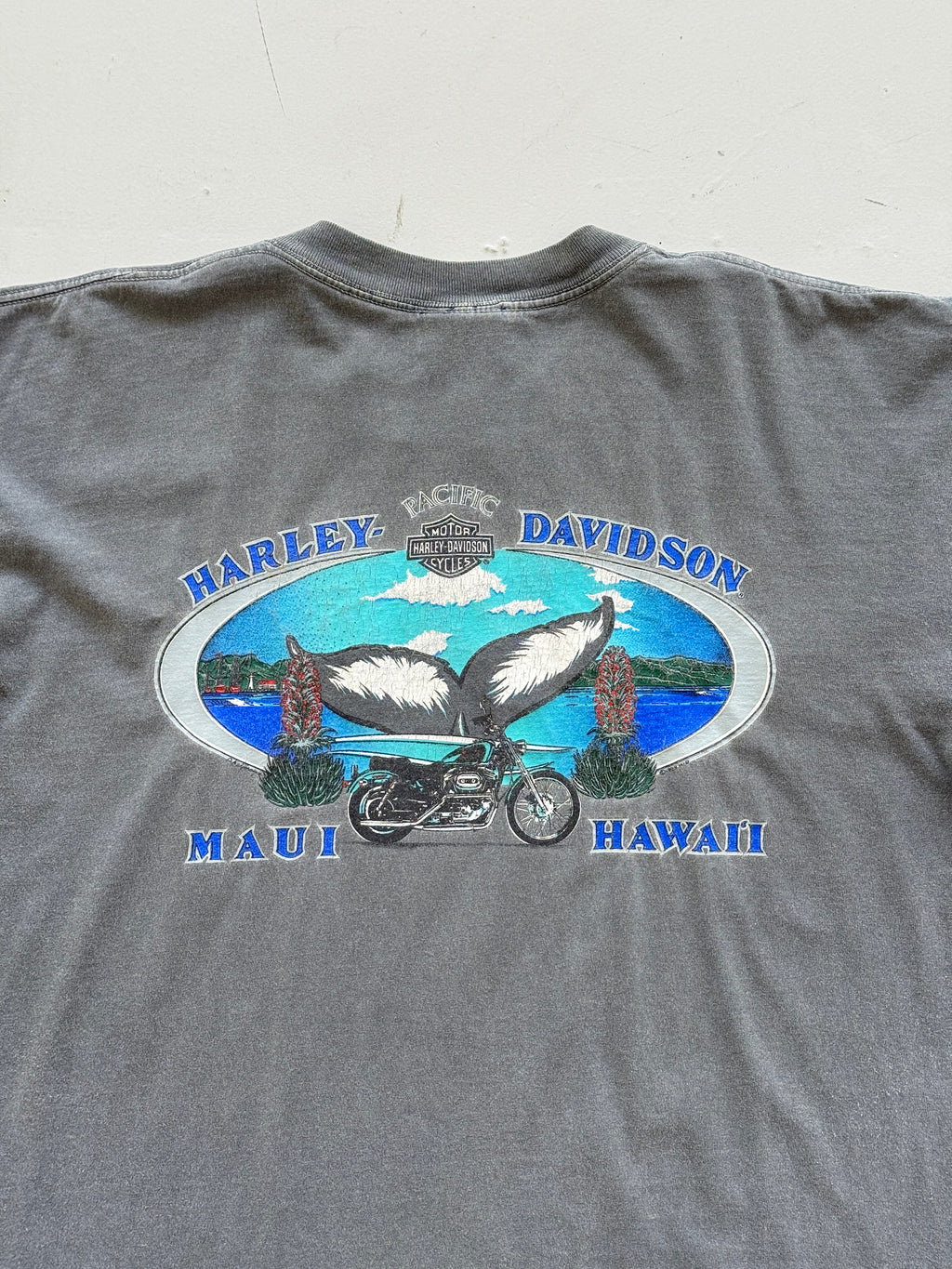 Grey Harley Davidson 90's Vintage Sun Faded Graphic T-Shirt - XL