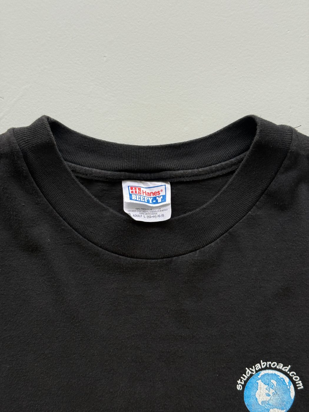 Hanes Beefy 'Expose Yourself to the World' 90's Vintage Graphic T-Shirt - Large
