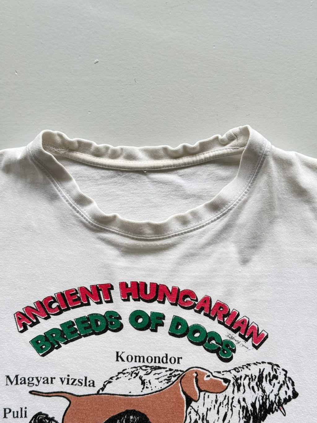 Ancient Hungarian Breeds of Dogs Vintage Graphic T-Shirt - Medium
