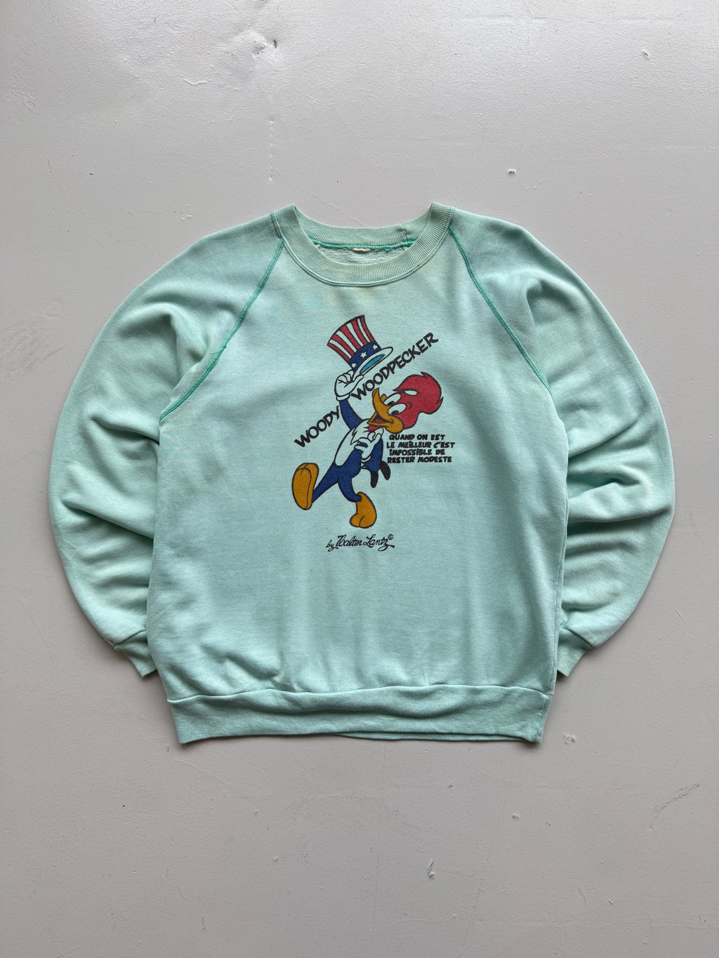 Blue Woody Woodpecker 70's Vintage Cartoon Graphic Sweatshirt Jumper - Small