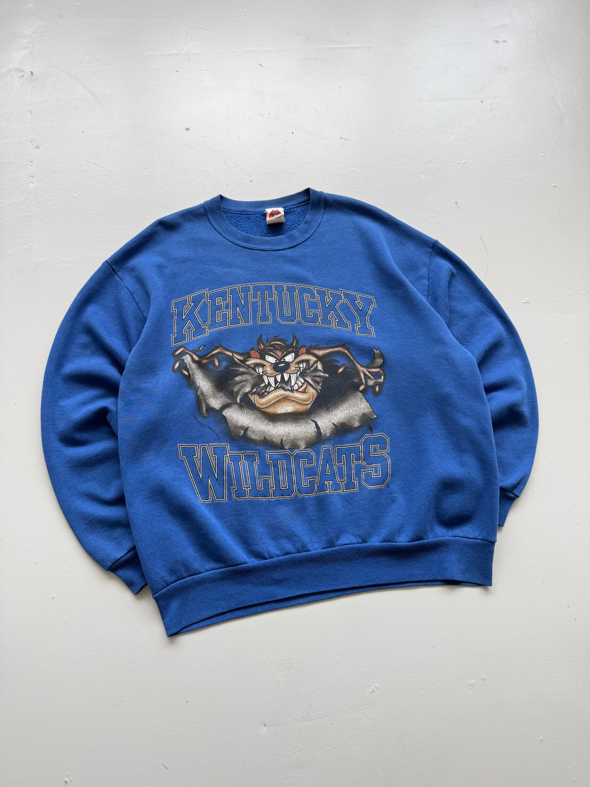 Looney Tunes Kentucky Wildcats Taz 90's Vintage Sweatshirt - XL