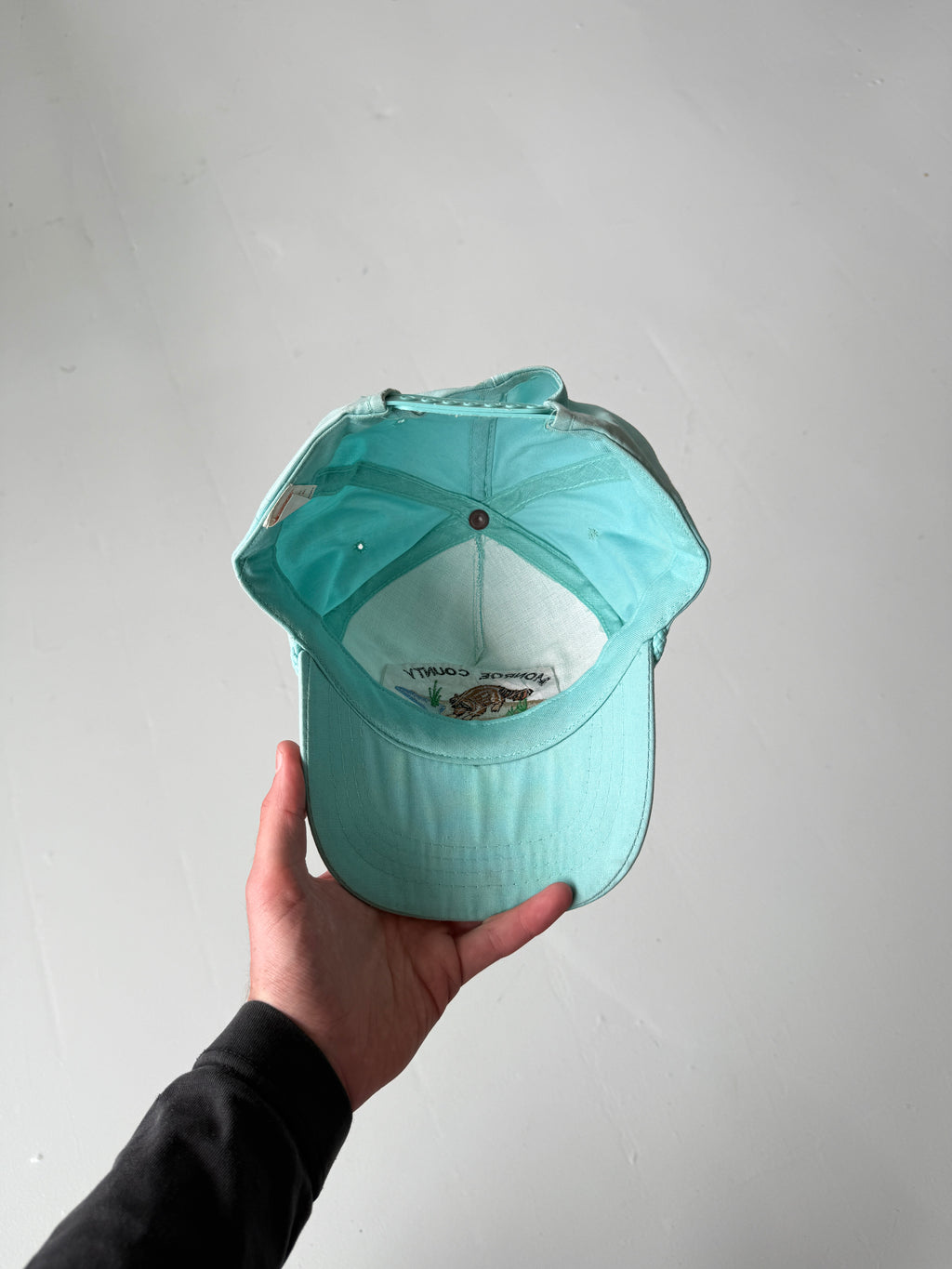Blue Monroe County Field Day Vintage Cotton SnapBack Trucker Cap