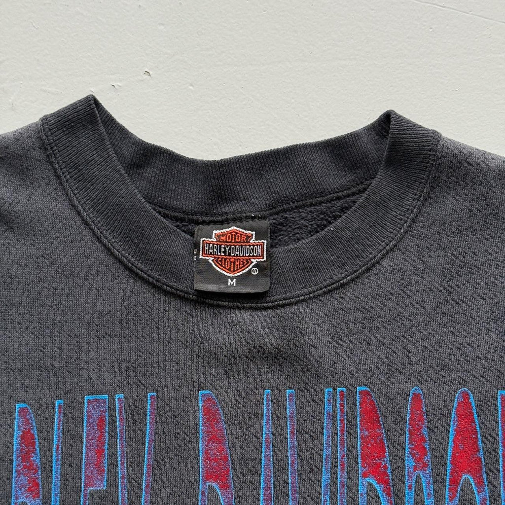 Blue Harley Davidson 90s Vintage Graphic Sweater Vest - Medium