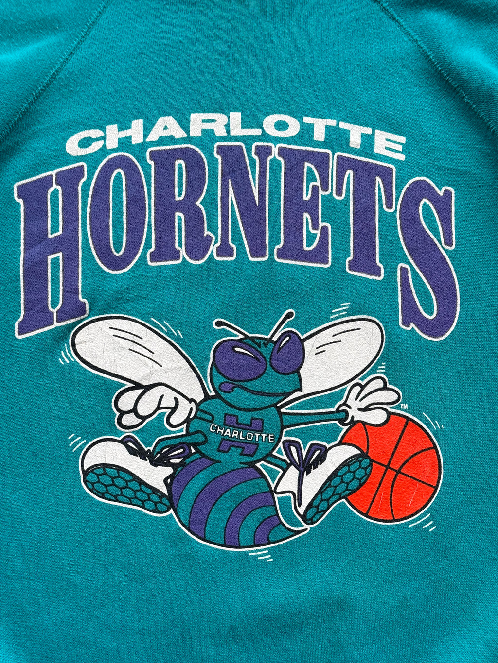 Artex Charlotte Hornets NBA 90's Vintage Sweatshirt - Large