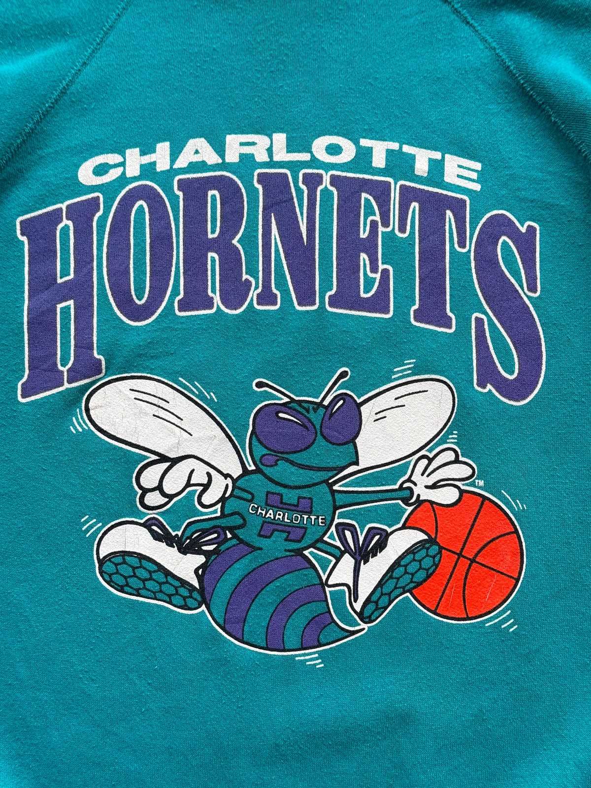 Artex Charlotte Hornets NBA 90's Vintage Sweatshirt - Large