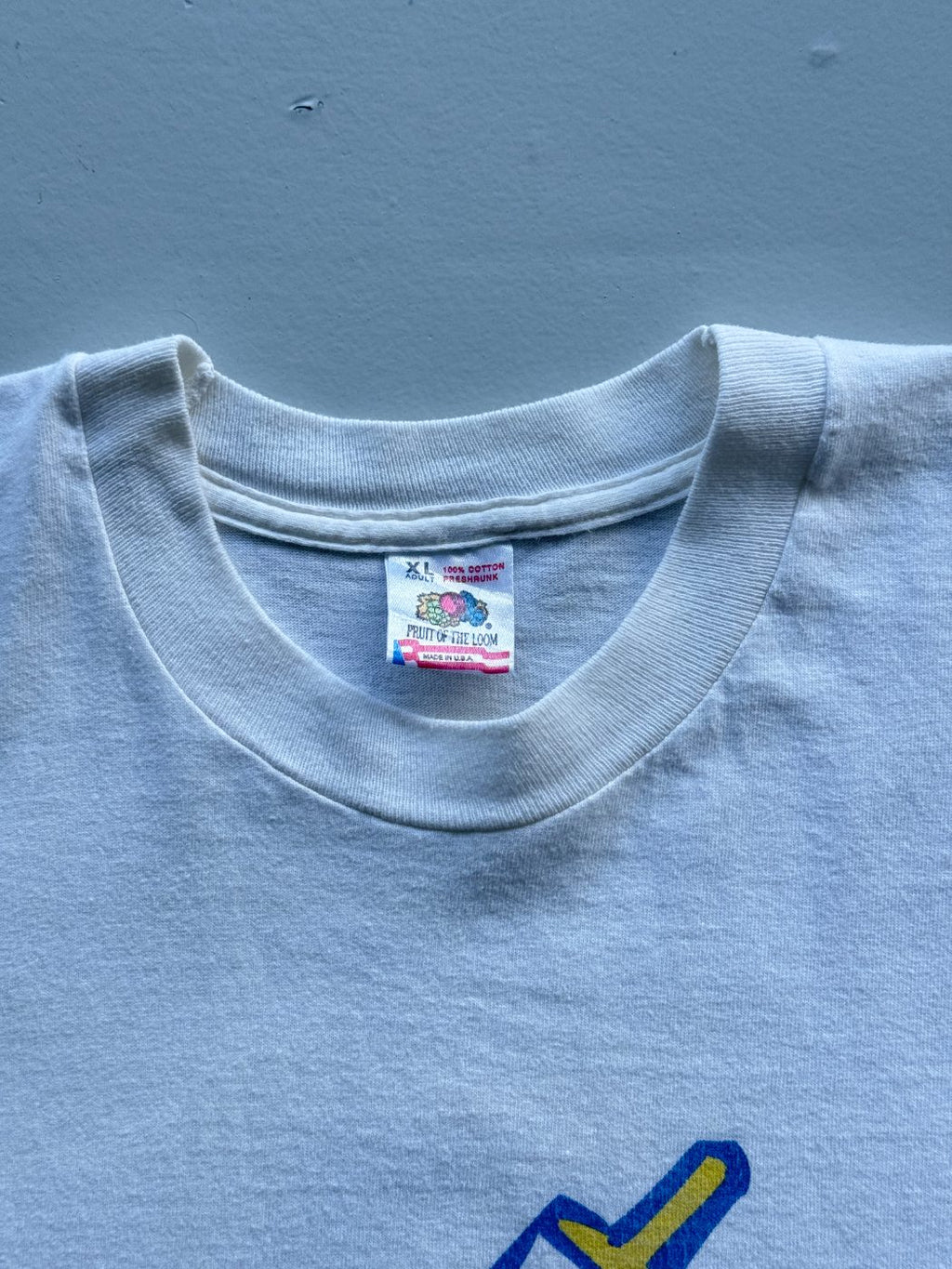 Fruit of the Loom Habitat for Humanity Canada Ed Schreyer Work Project '95 Vinta