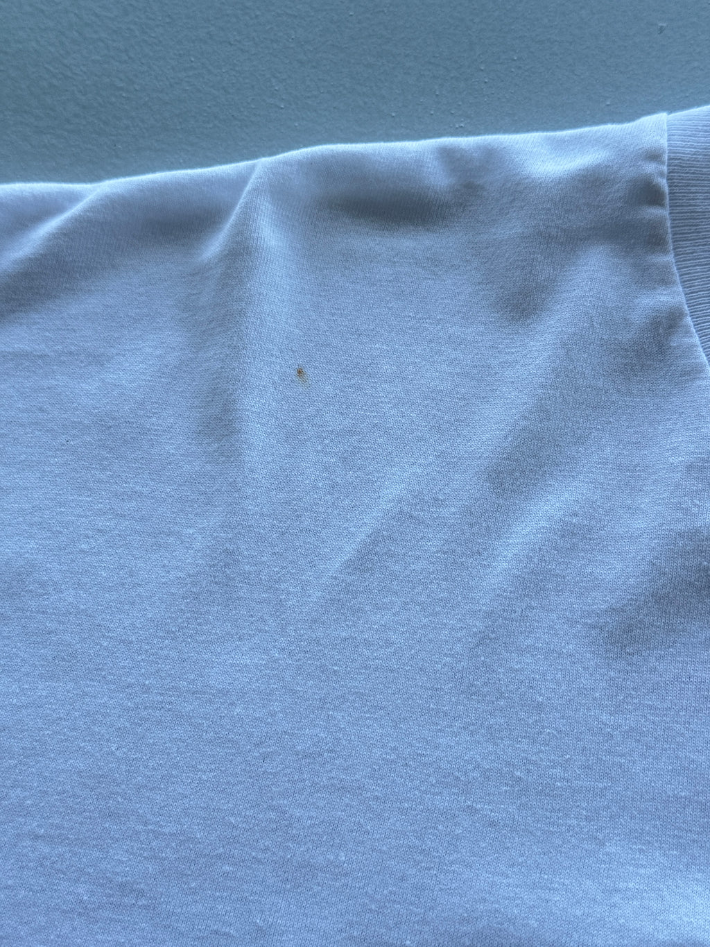 Sauvez La Terre Plantez Un Arbre 90's Vintage Ski T-Shirt - XL