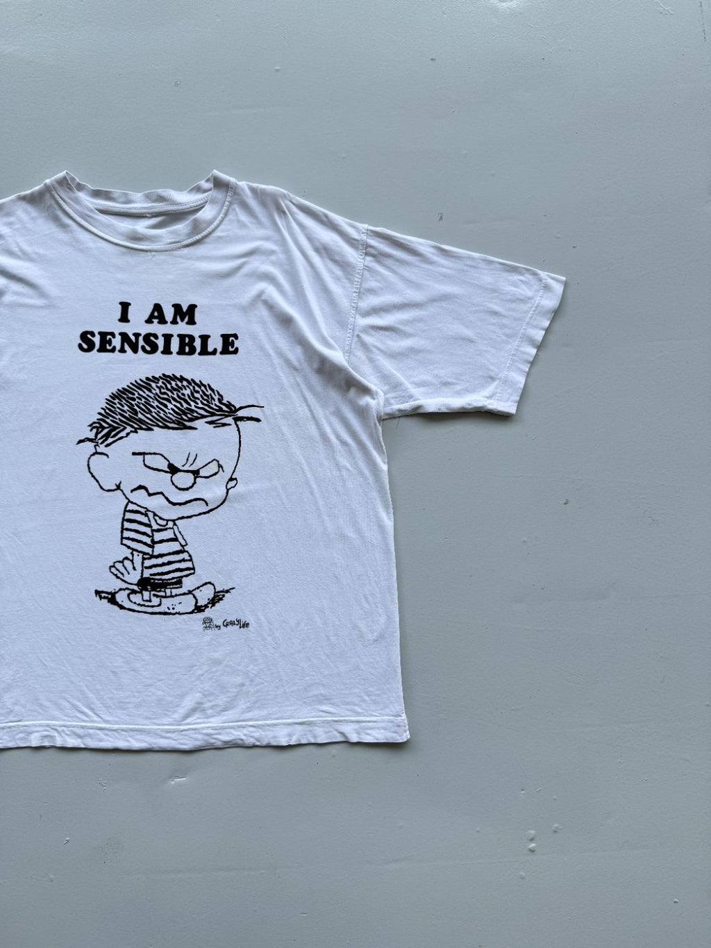 Crazy Life 'I Am Sensible' 90's Vintage Slogan T-Shirt - Large