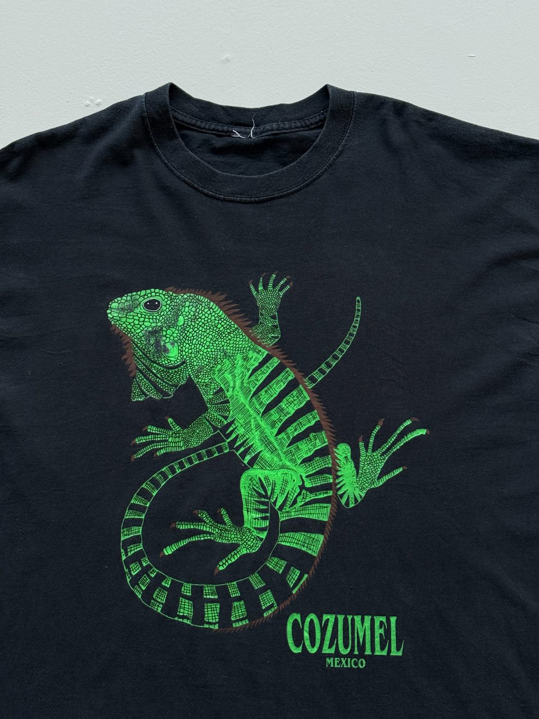 American Vintage Cozumel Mexico Iguana Vintage Tourist T-Shirt - Extra Large