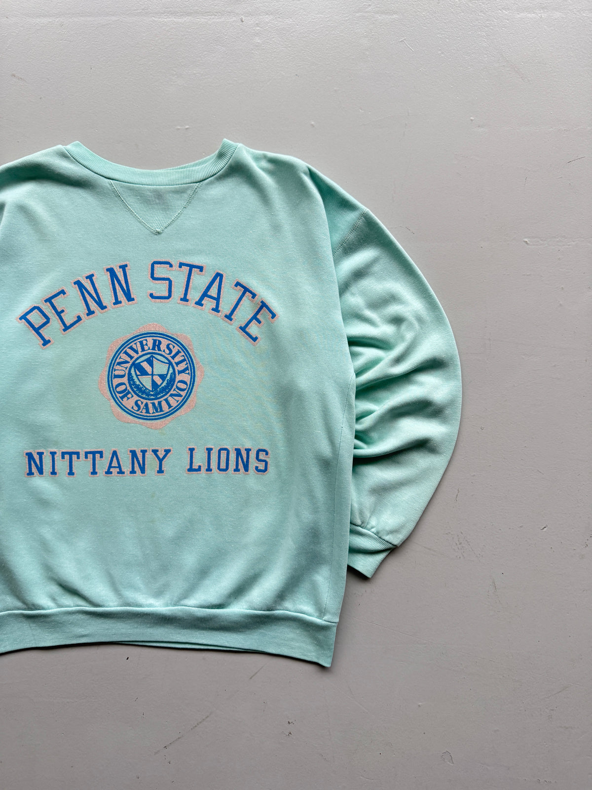 Penn State Nittany Lions 60s/70s Vintage University Sweatshirt - Medium