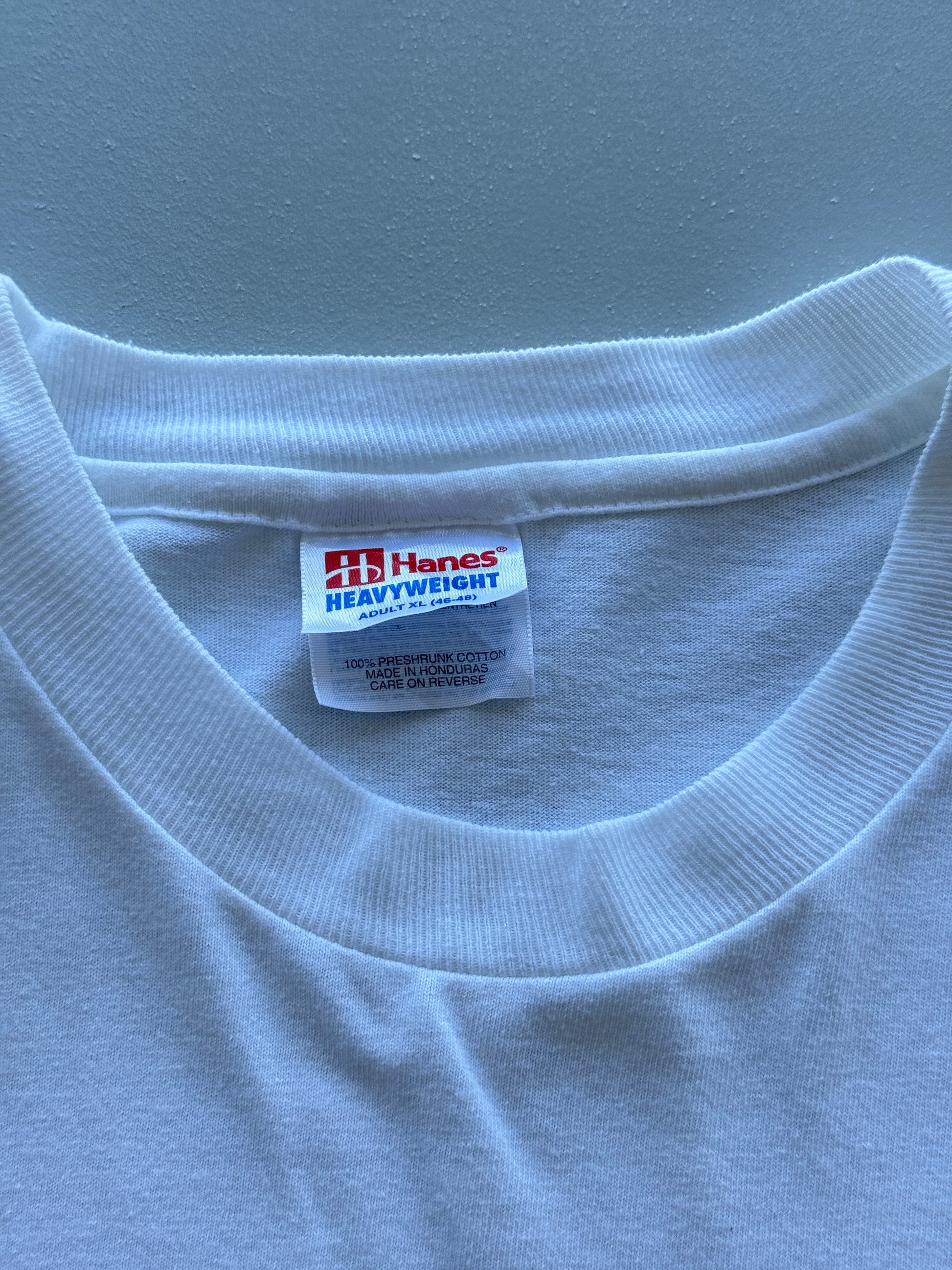 Hanes Heavyweight 'Let's Put The Fun Back In Dysfunctional' 90s Single Stitch Vi