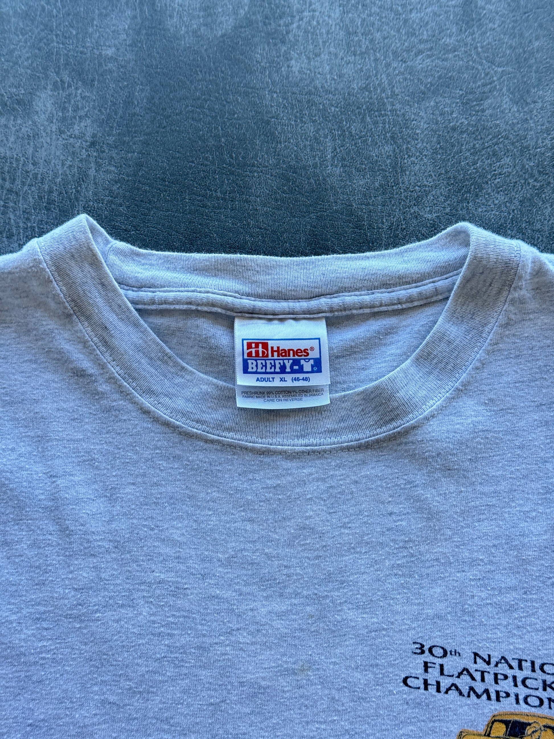Grey Hanes 30th National Flat picking Championship 2001 Vintage T-Shirt - XL