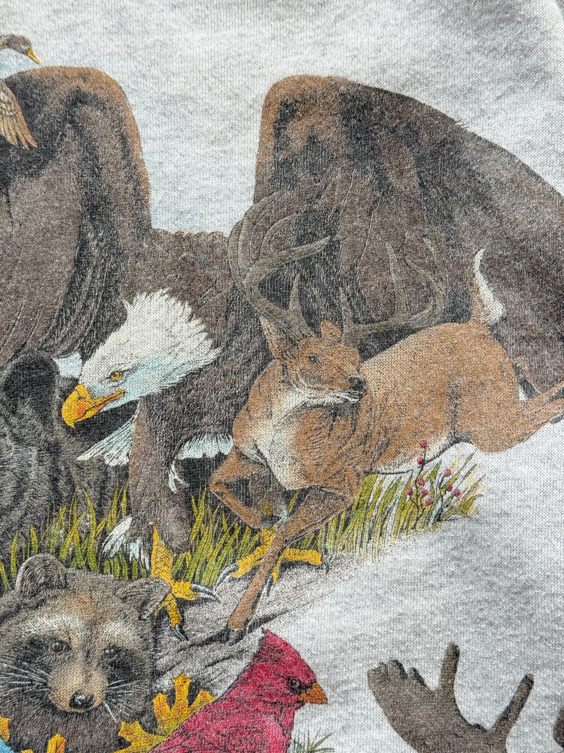 Hanes Activewear Wildlife Graphic 90's Vintage Sweatshirt - Women's 6