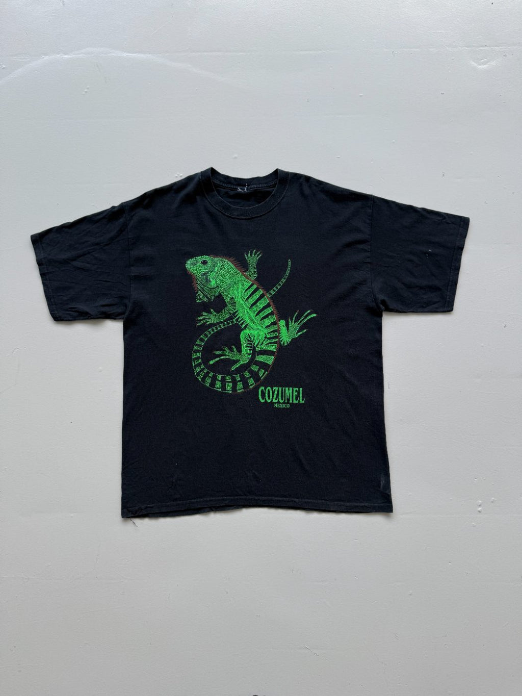American Vintage Cozumel Mexico Iguana Vintage Tourist T-Shirt - Extra Large