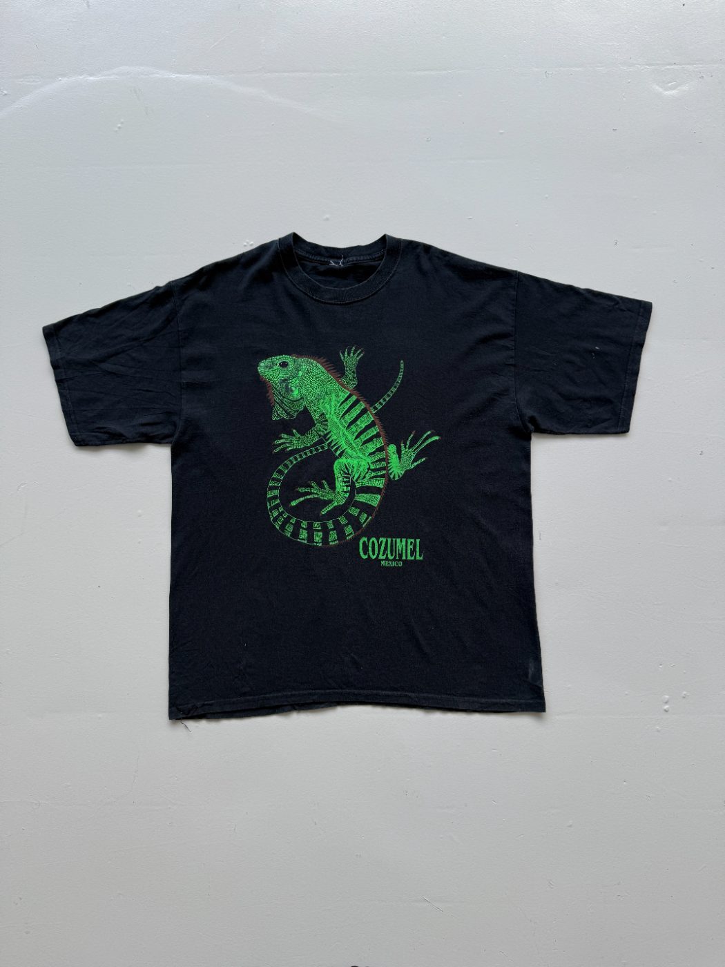 American Vintage Cozumel Mexico Iguana Vintage Tourist T-Shirt - Extra Large